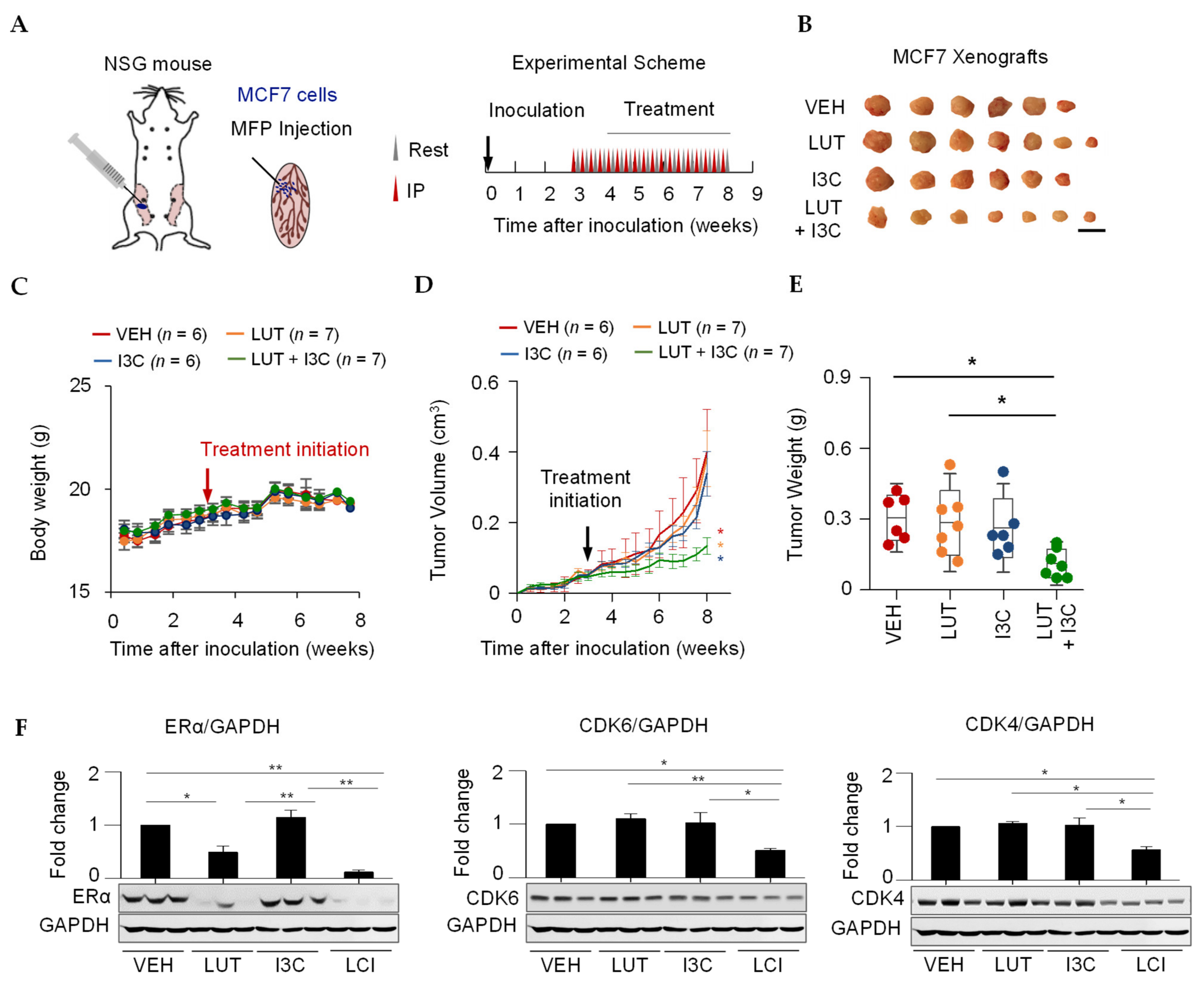 Cancers 13 02116 g004 Cancers 13 02116 g004