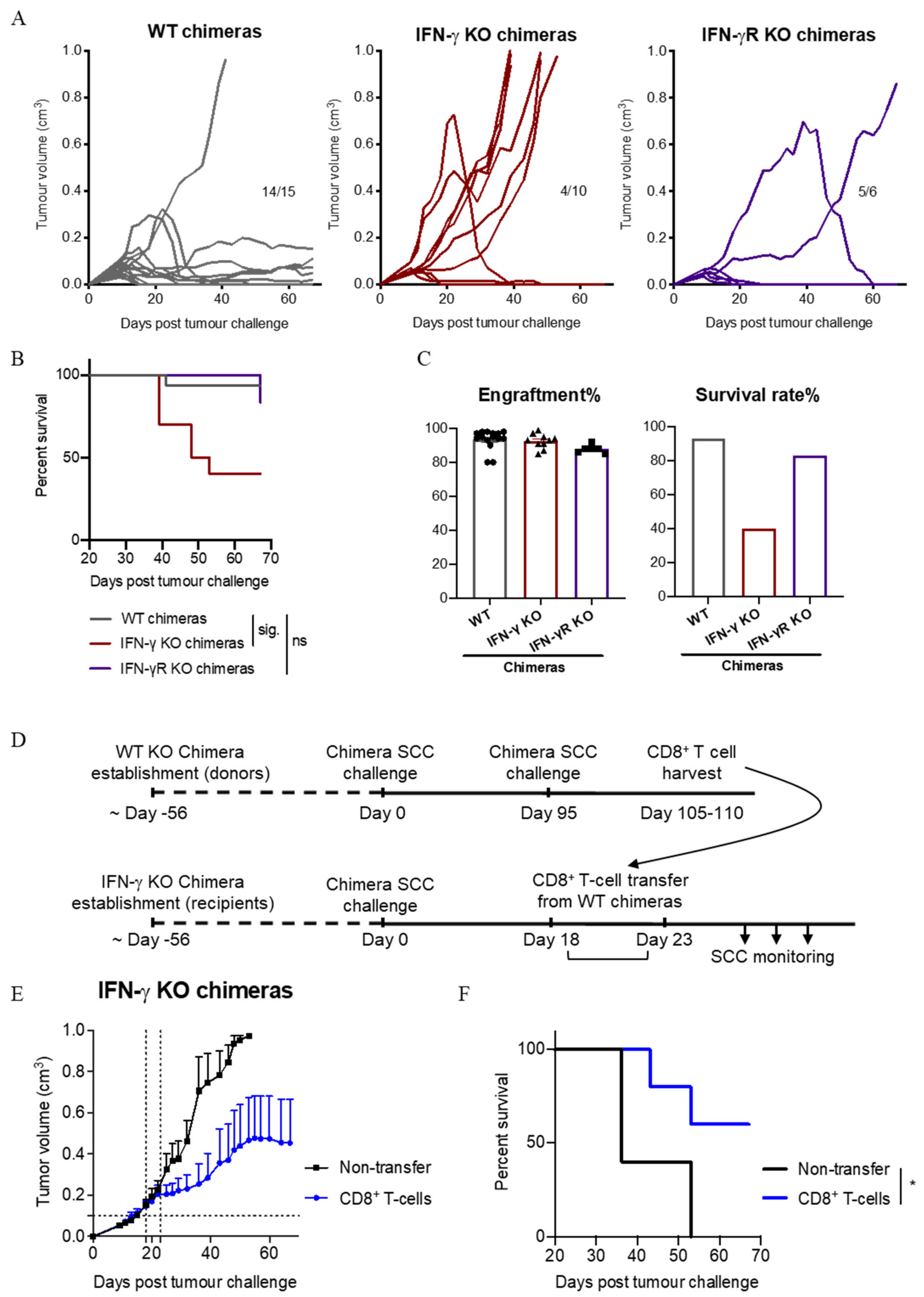 Cancers 13 02131 g008 Cancers 13 02131 g008