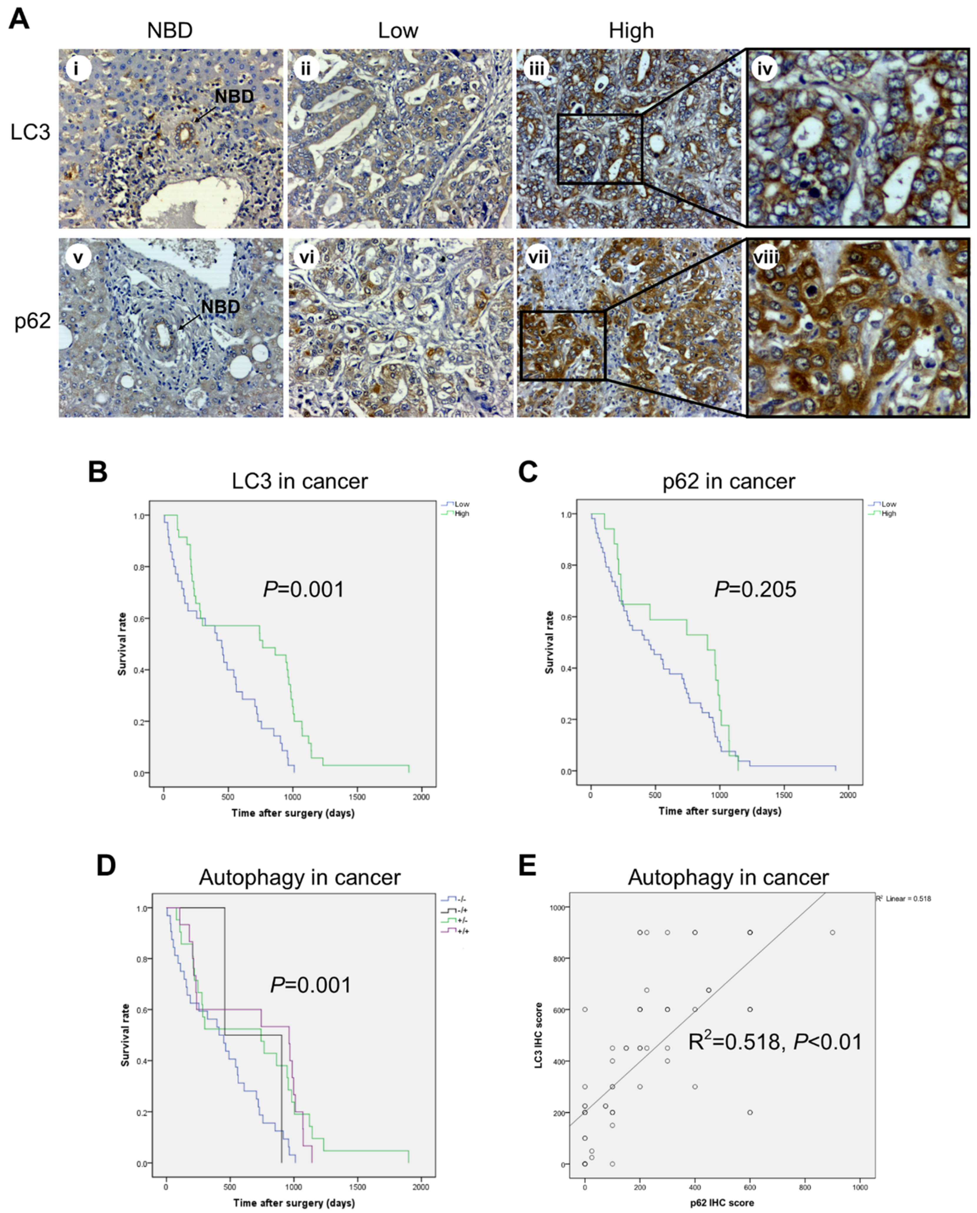 Cancers 13 02134 g002 Cancers 13 02134 g002