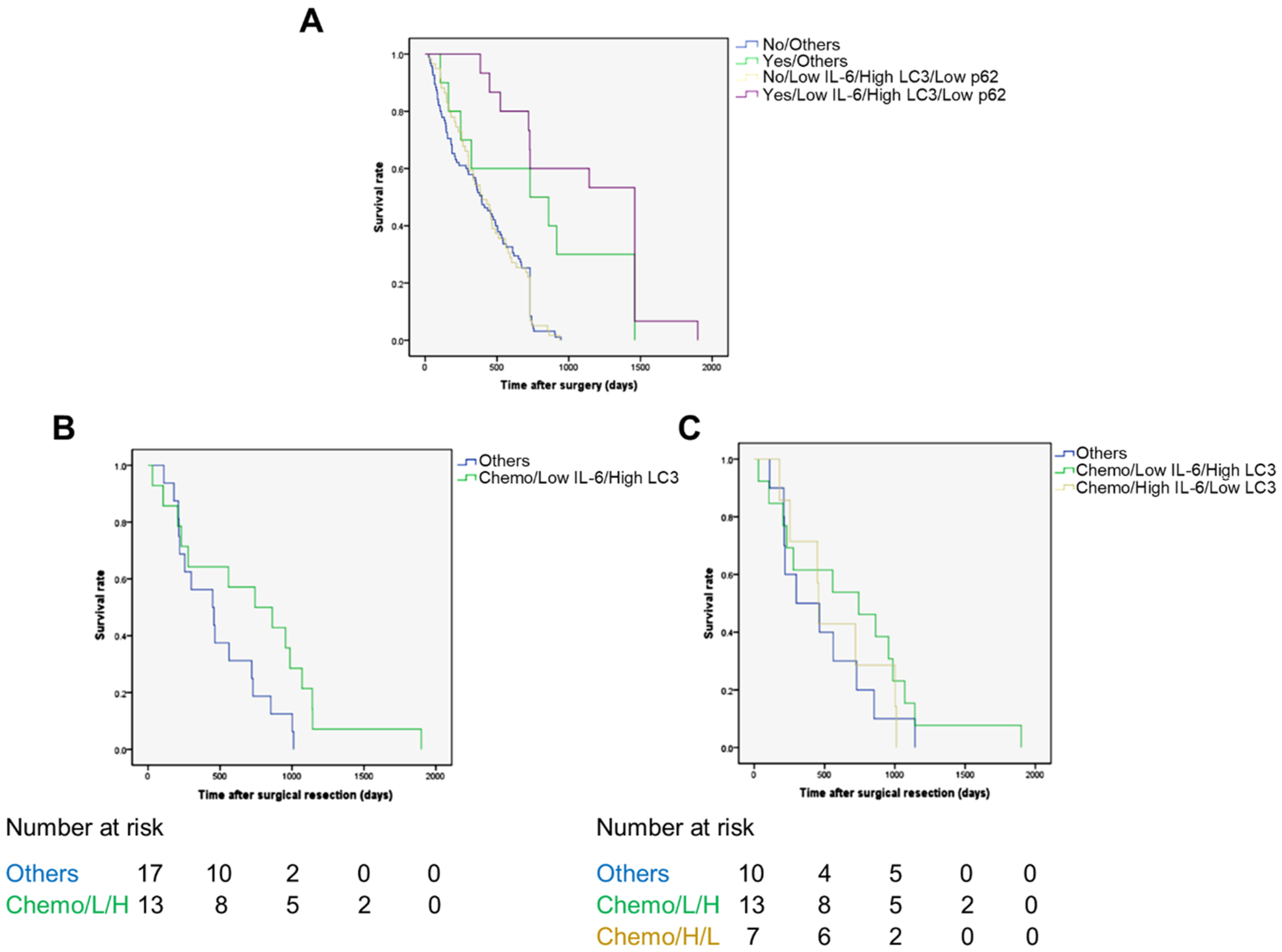 Cancers 13 02134 g004 Cancers 13 02134 g004