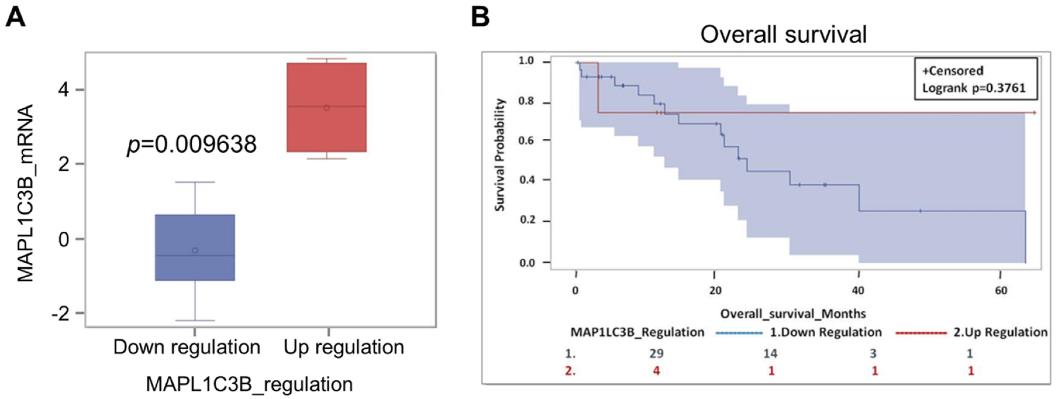Cancers 13 02134 g005 Cancers 13 02134 g005