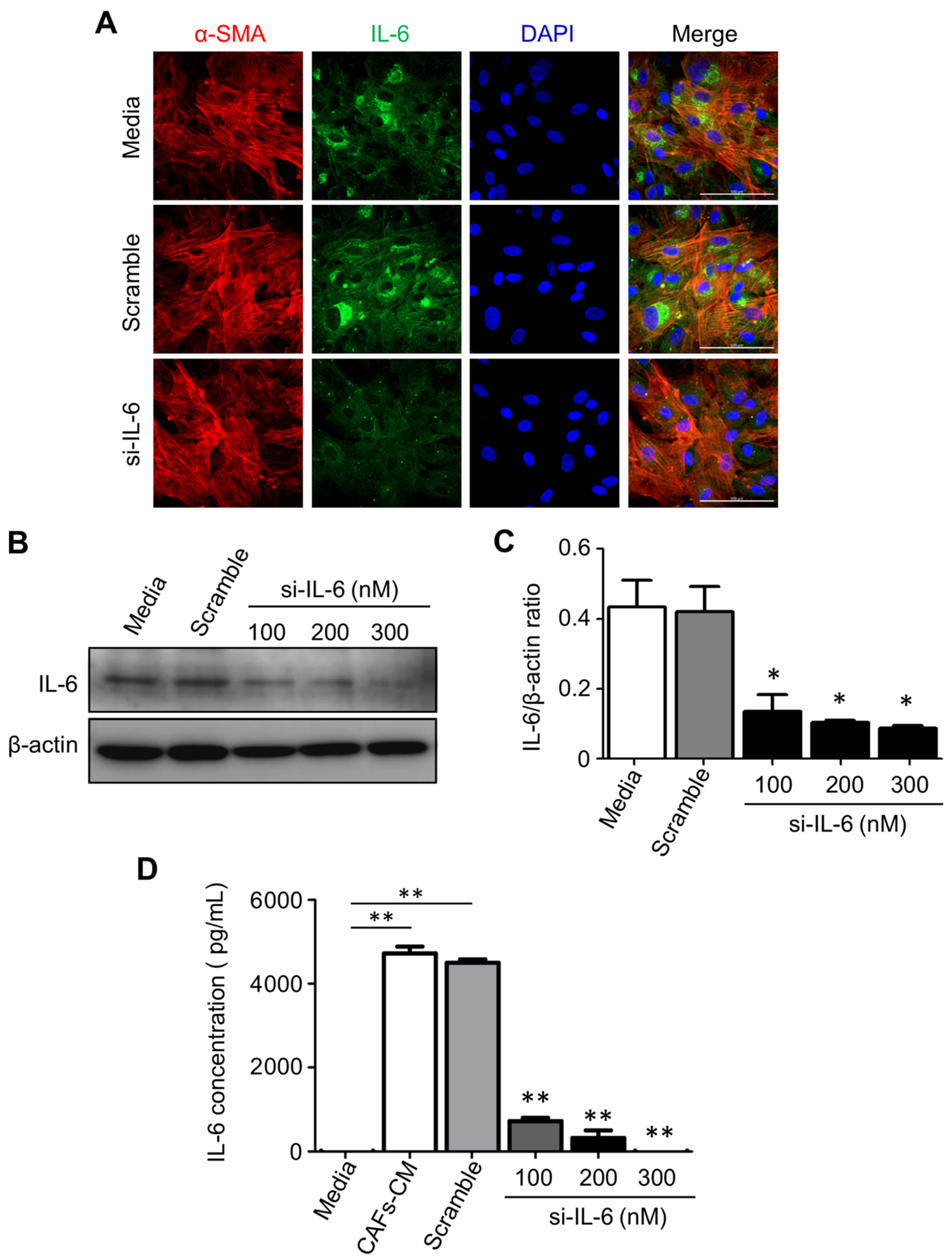 Cancers 13 02134 g006 Cancers 13 02134 g006