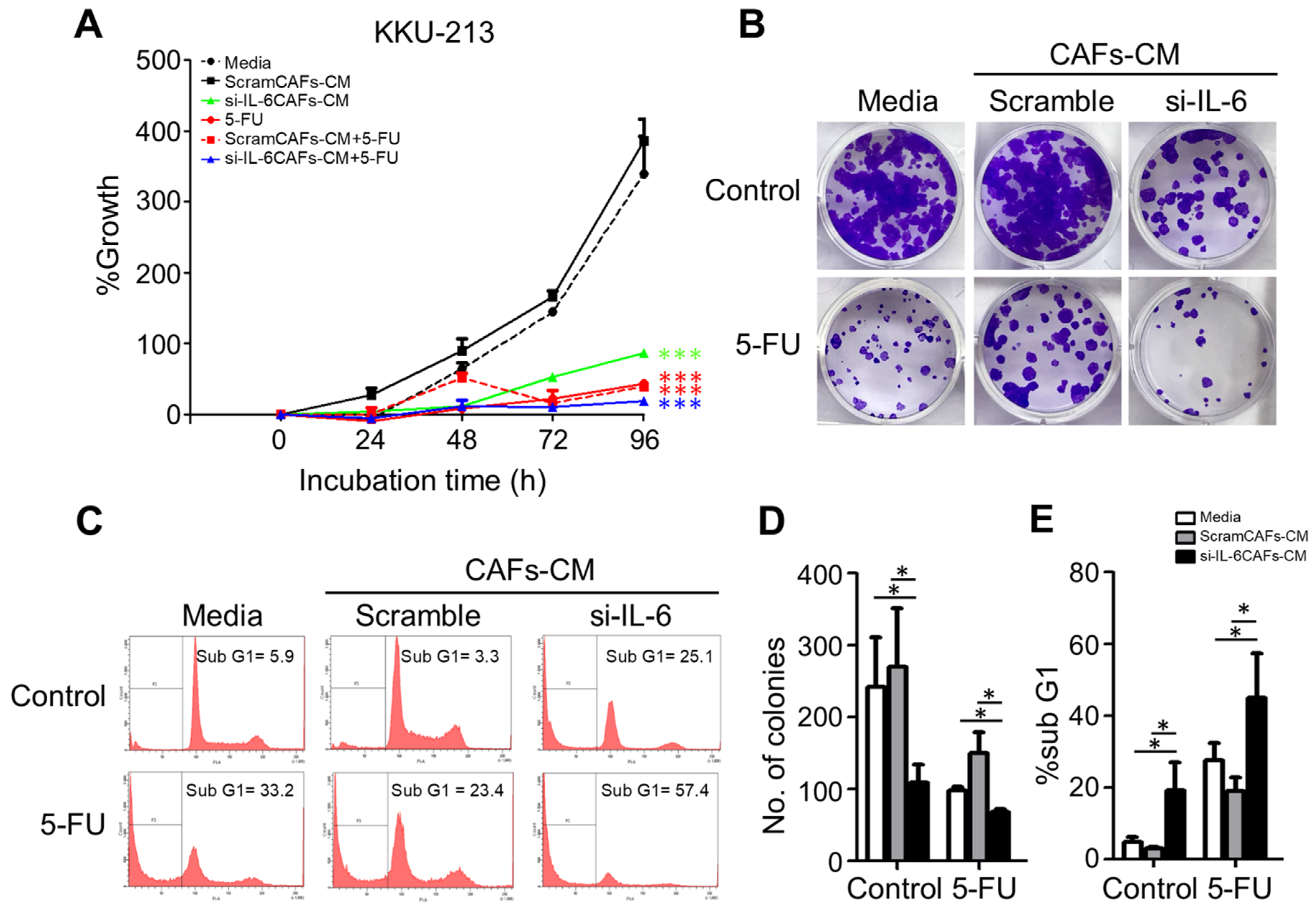 Cancers 13 02134 g007 Cancers 13 02134 g007