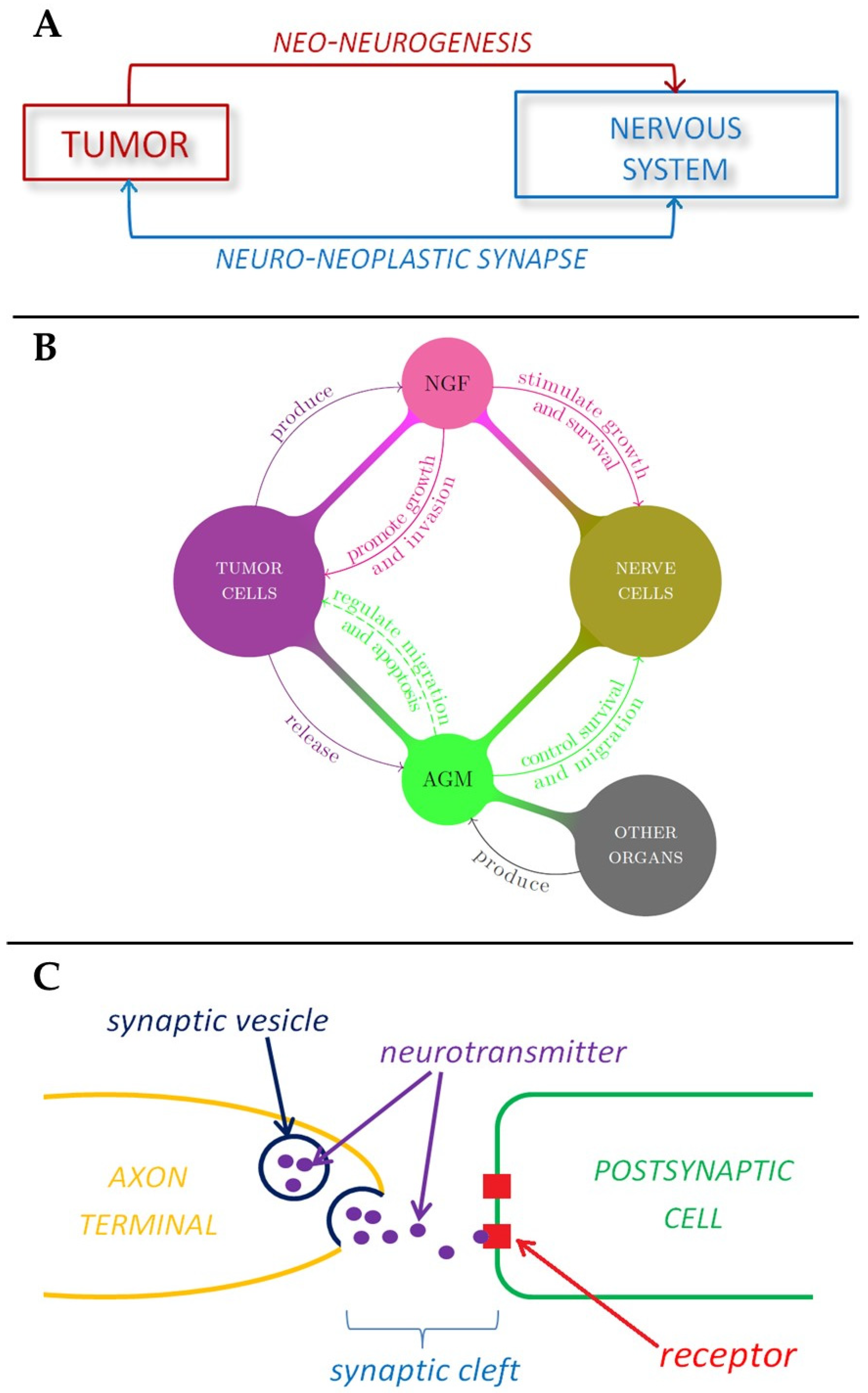 Cancers 13 02138 g002 Cancers 13 02138 g002