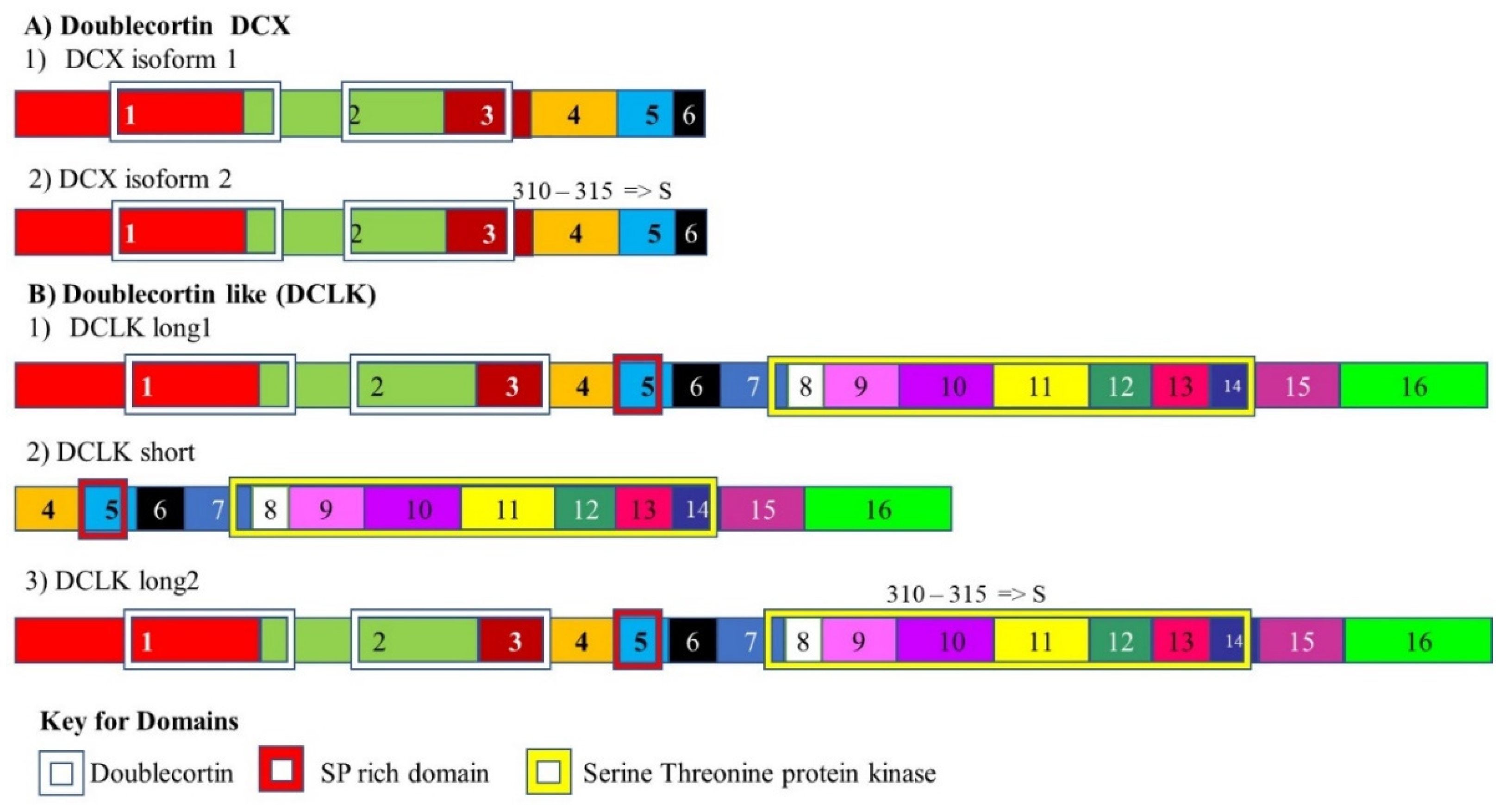 Cancers 13 02138 g003 Cancers 13 02138 g003