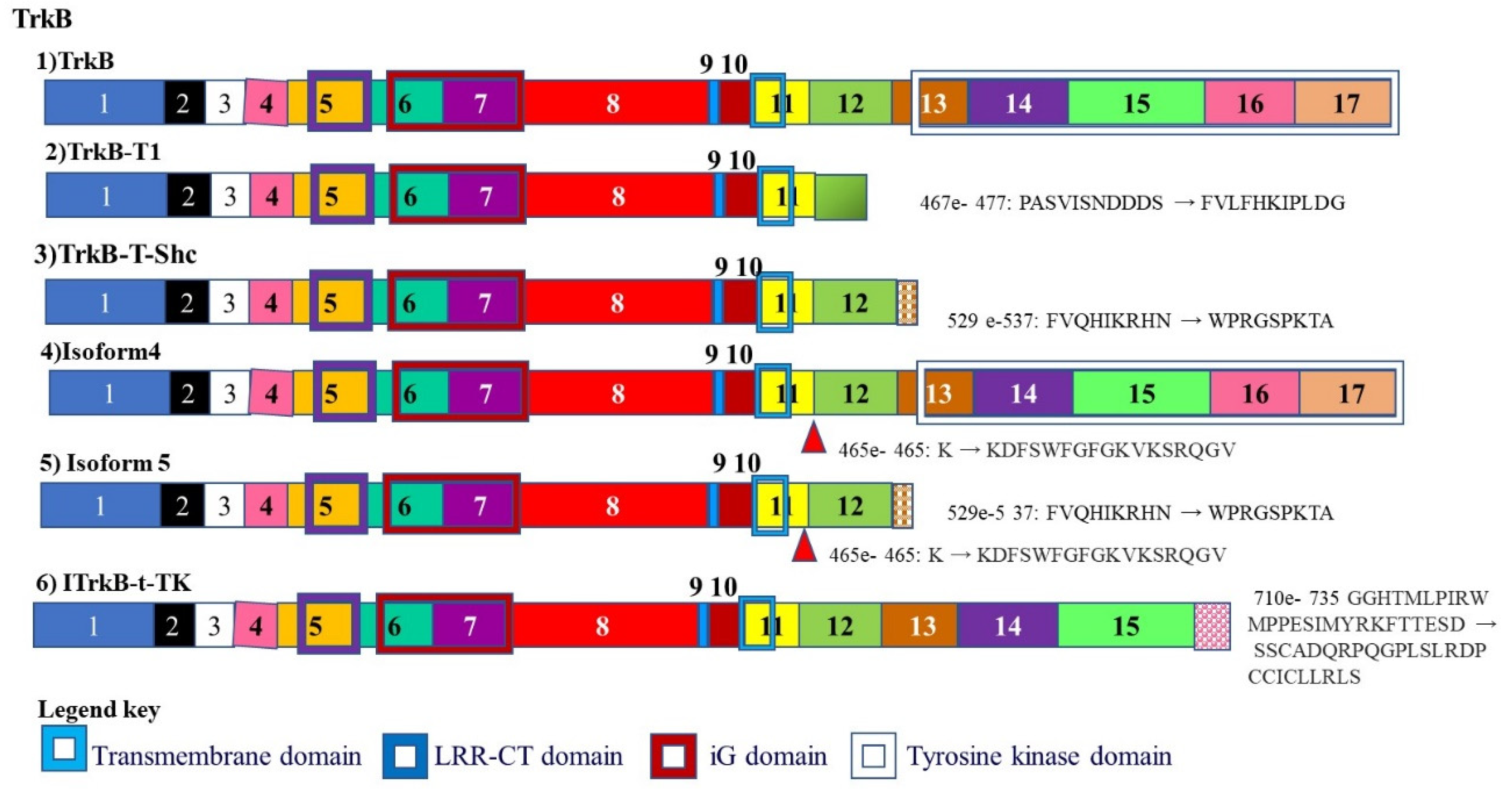 Cancers 13 02138 g006 Cancers 13 02138 g006