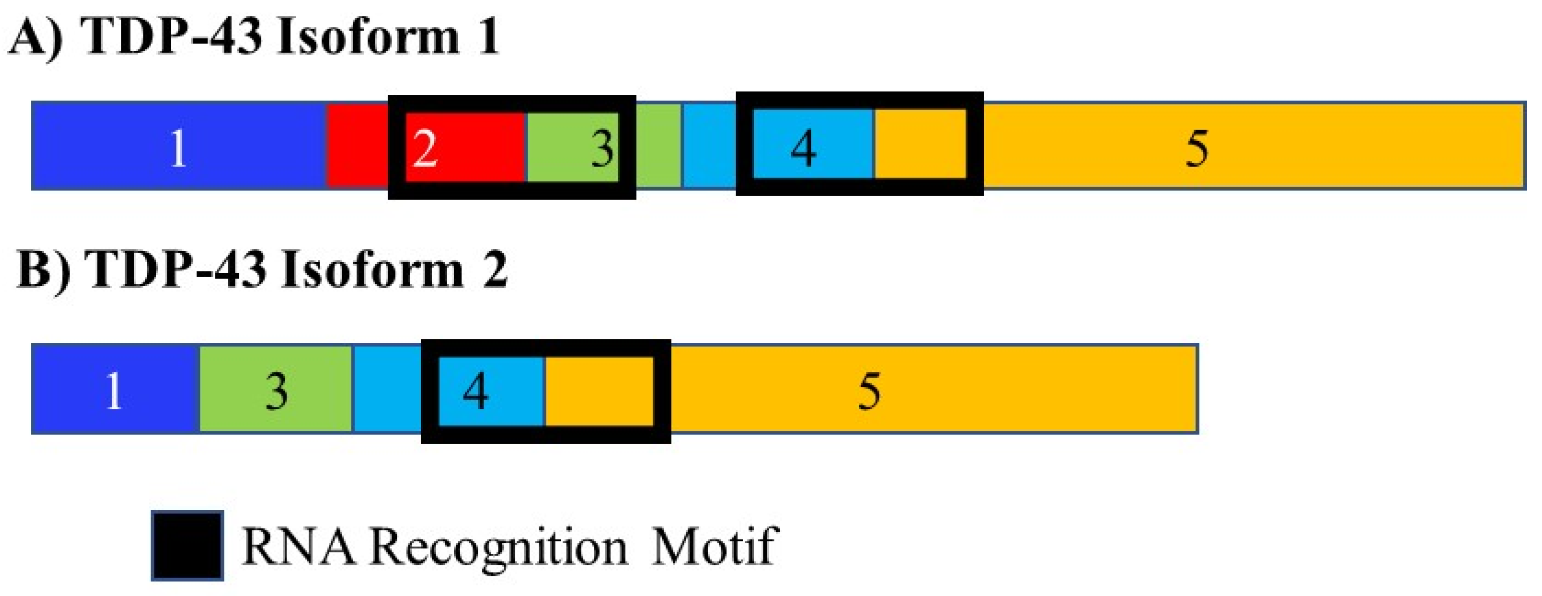 Cancers 13 02138 g009 Cancers 13 02138 g009