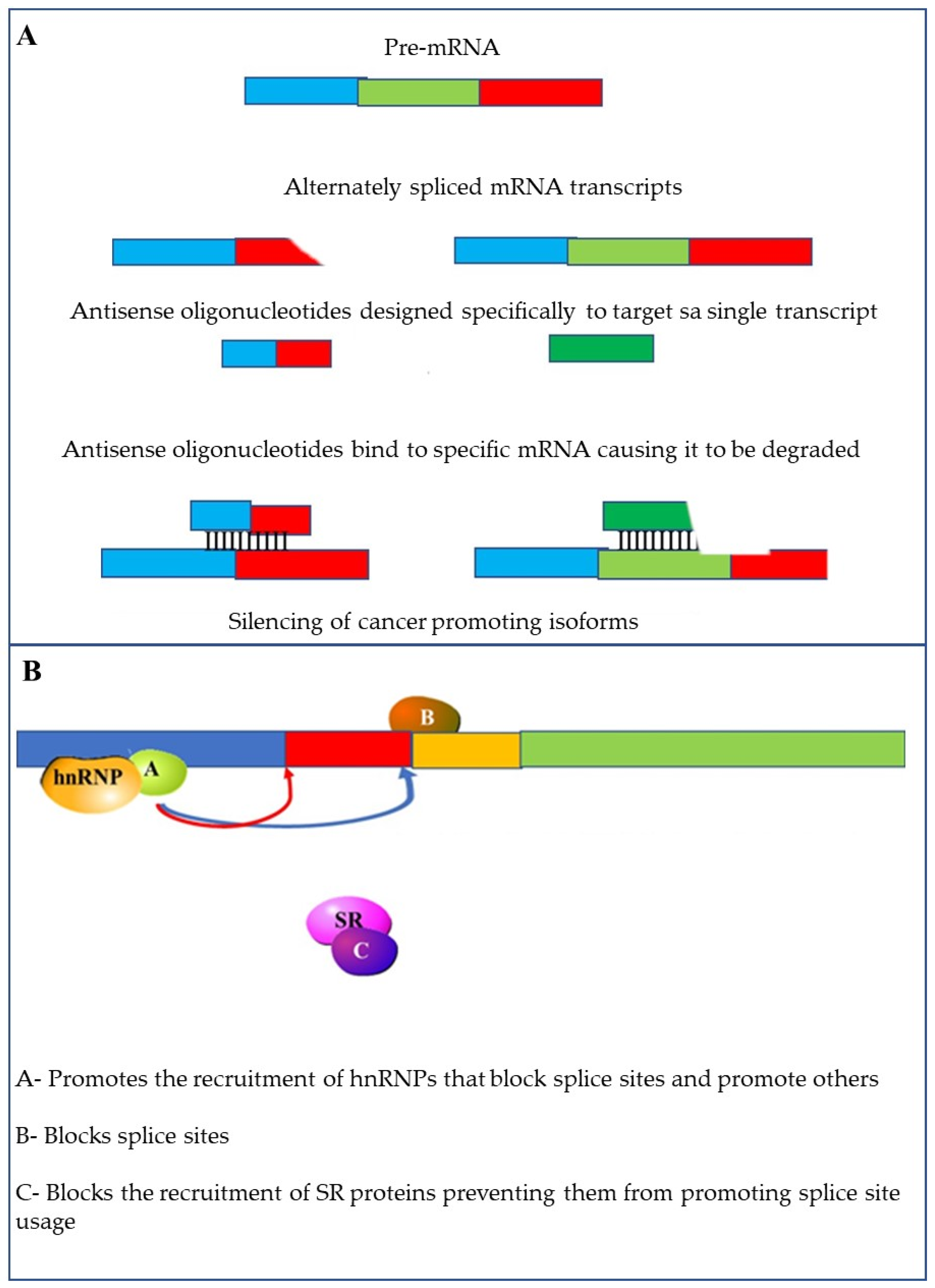 Cancers 13 02138 g010 Cancers 13 02138 g010