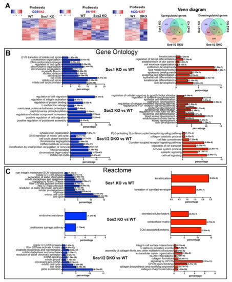 Cancers | Free Full-Text | Functional Specificity of the