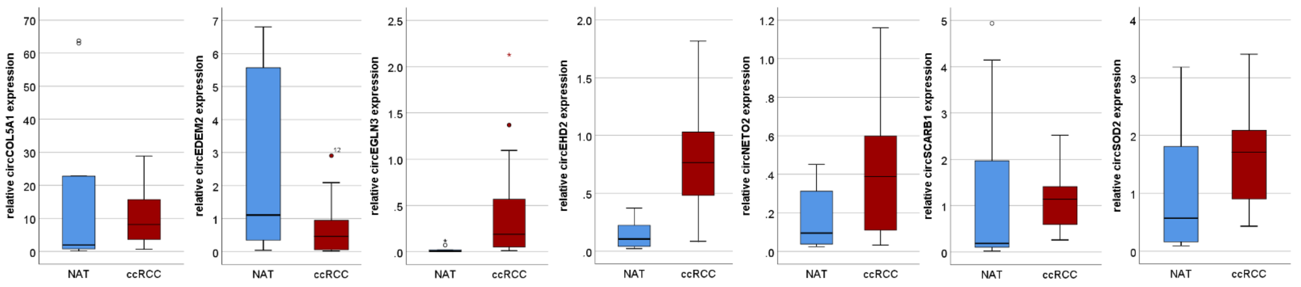 Cancers 13 02177 g001