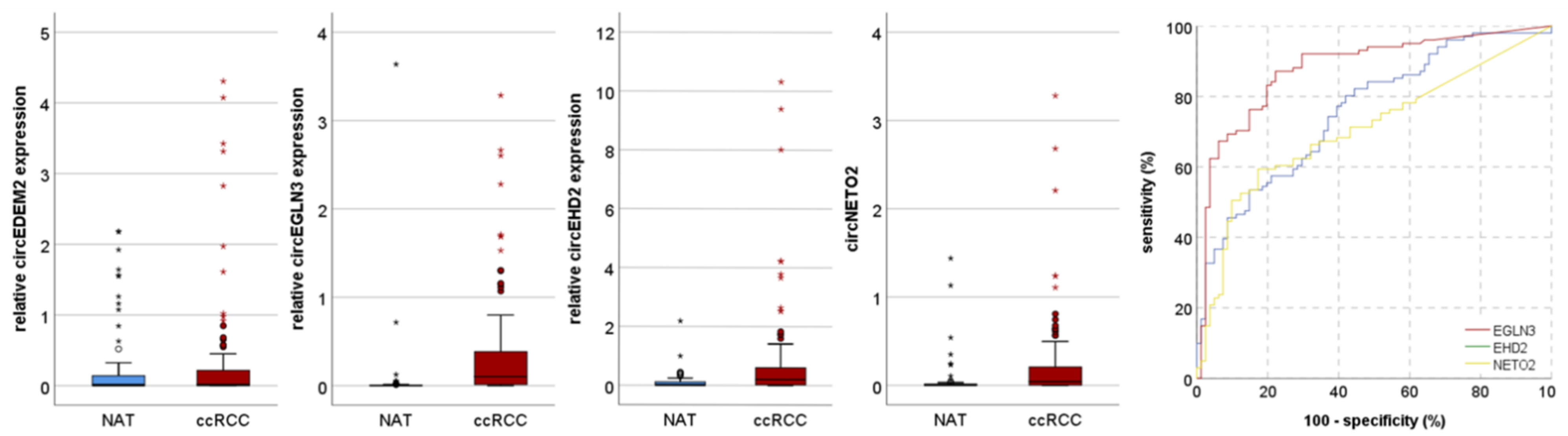 Cancers 13 02177 g002