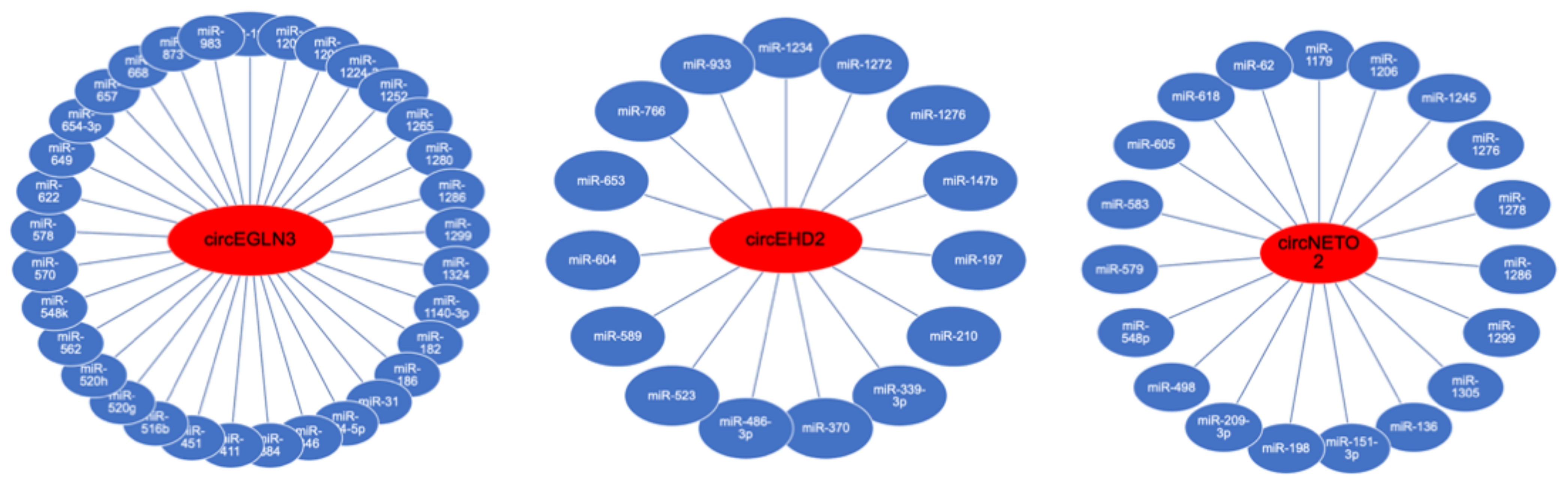 Cancers 13 02177 g005