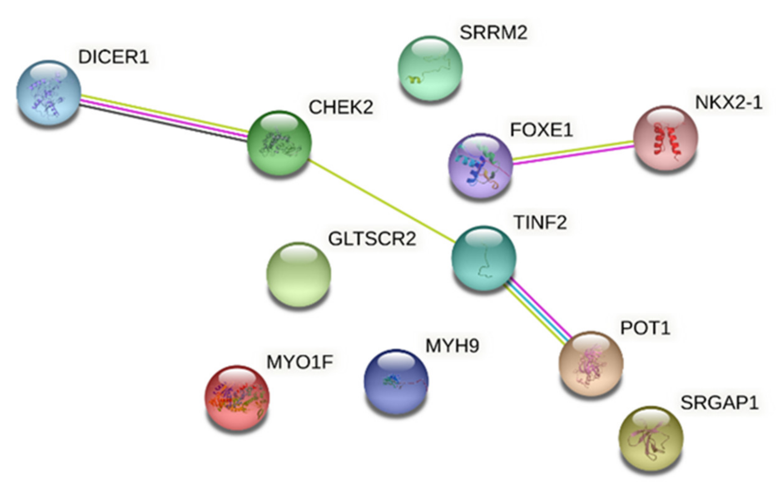 Cancers 13 02178 g002 Cancers 13 02178 g002