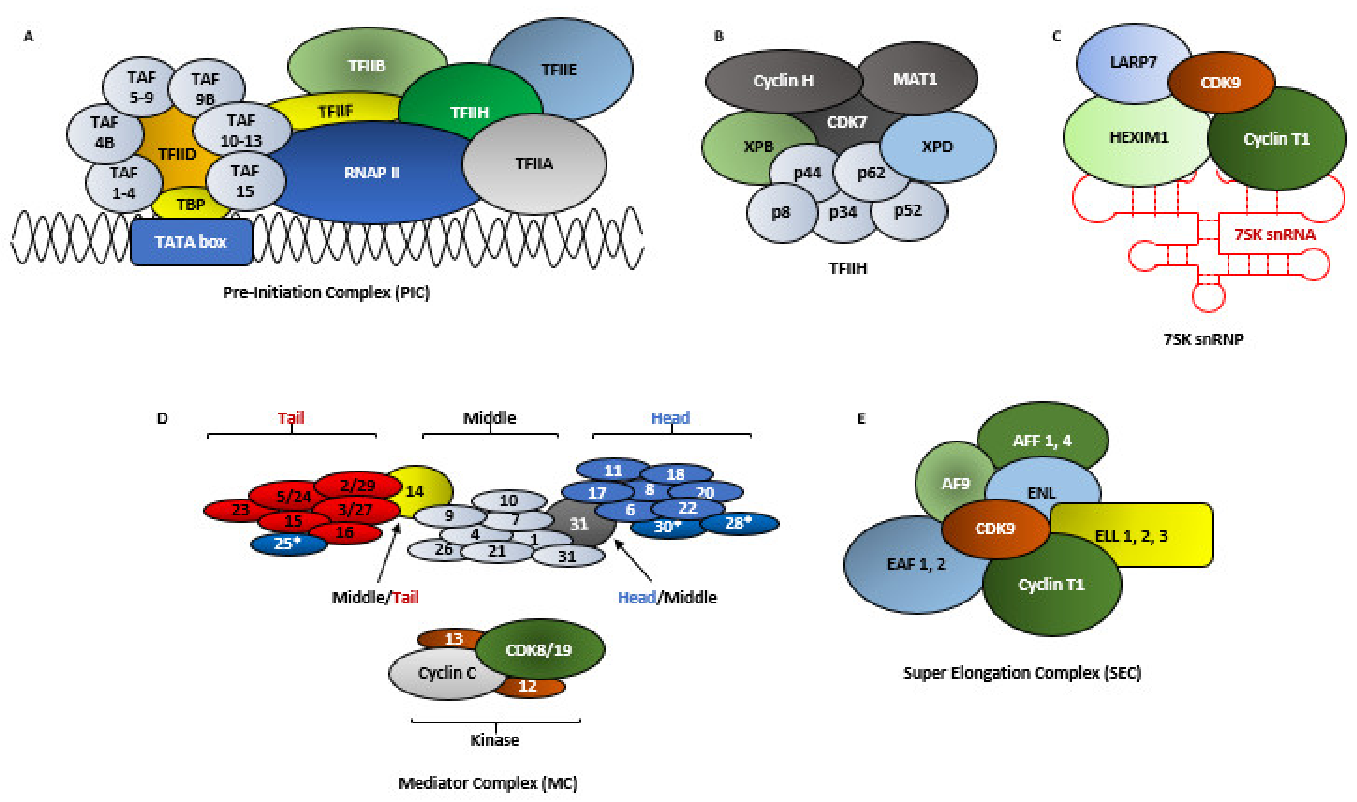 Cancers 13 02181 g003