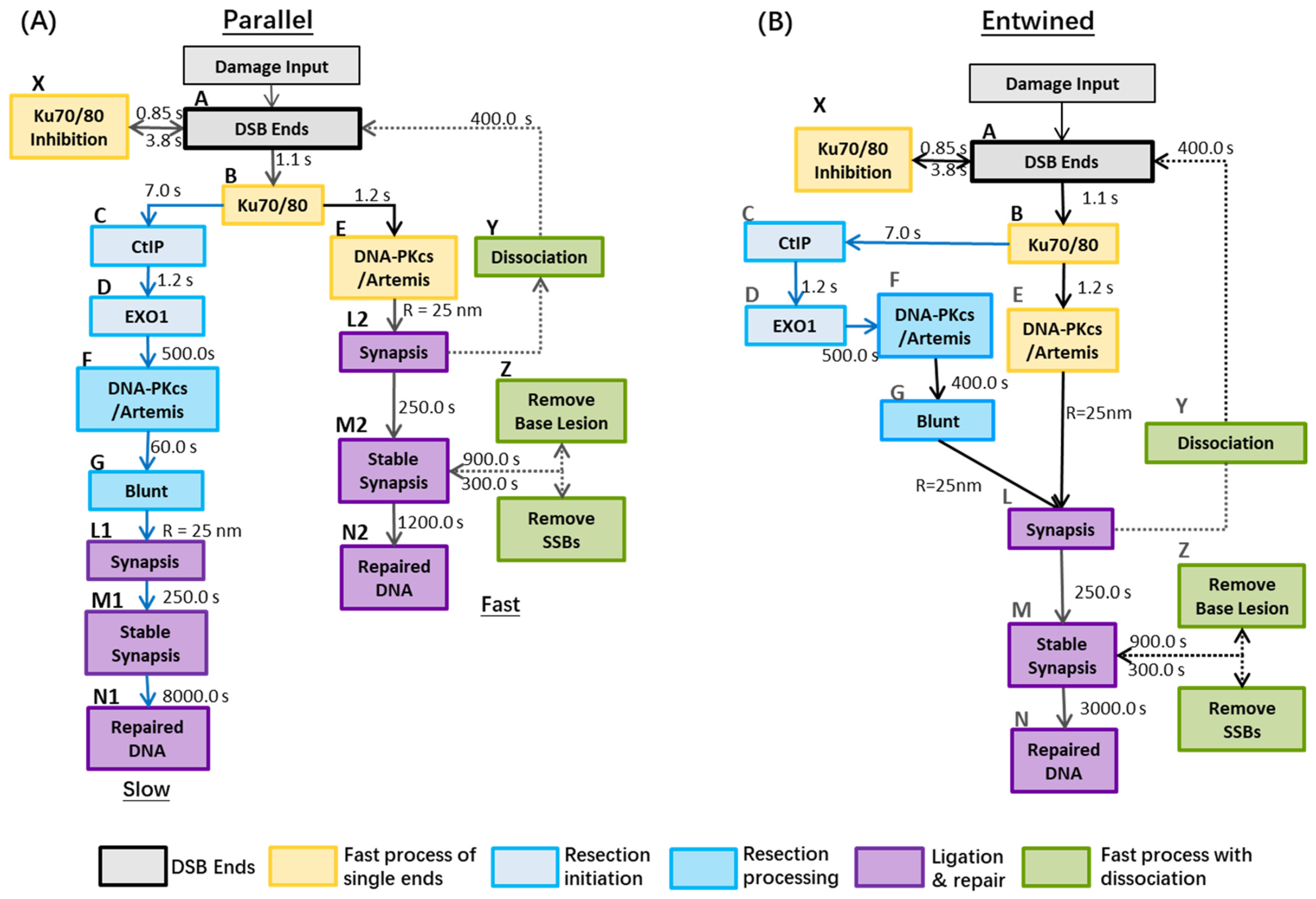 Cancers 13 02202 g001