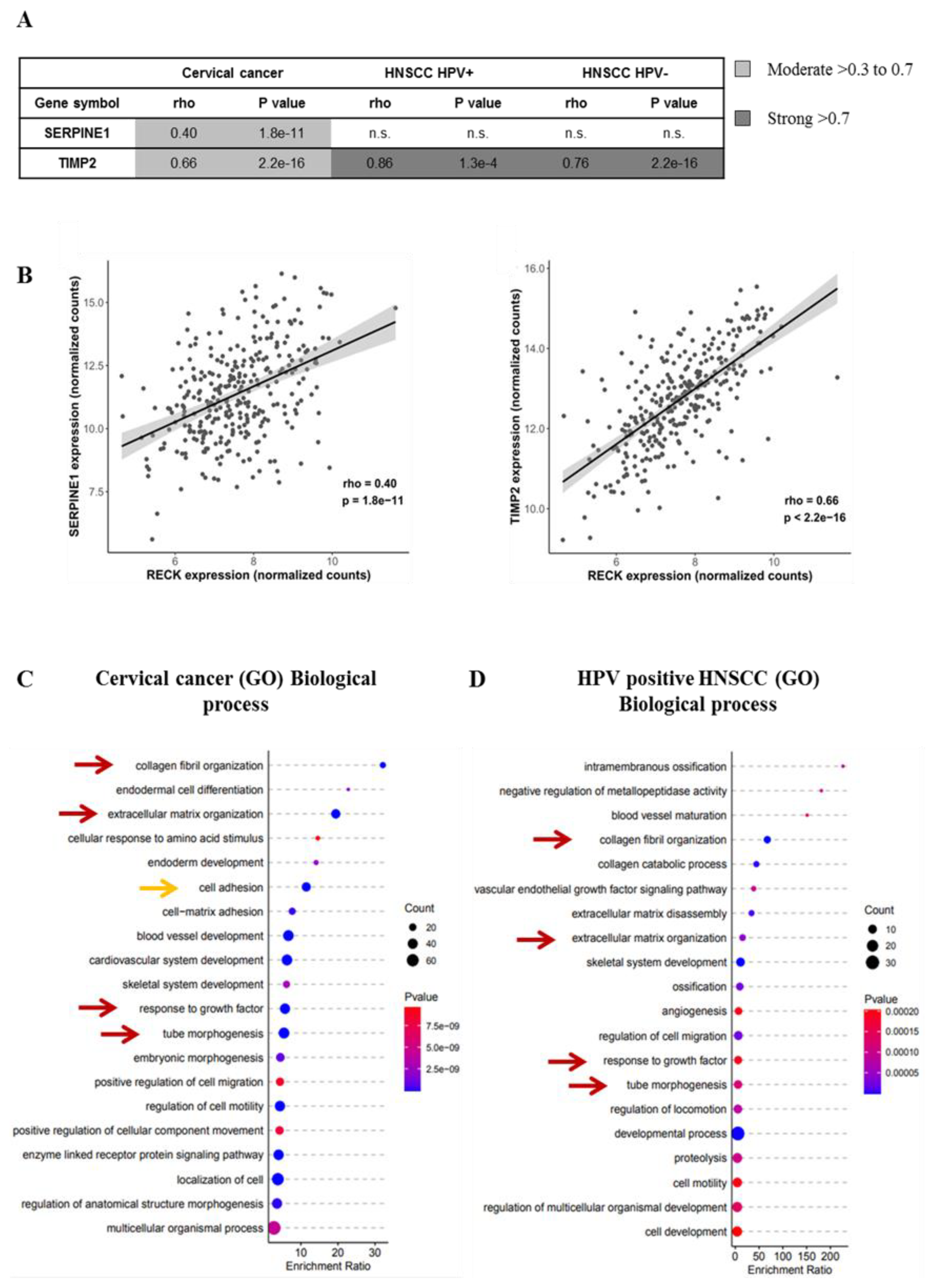 Cancers 13 02217 g006