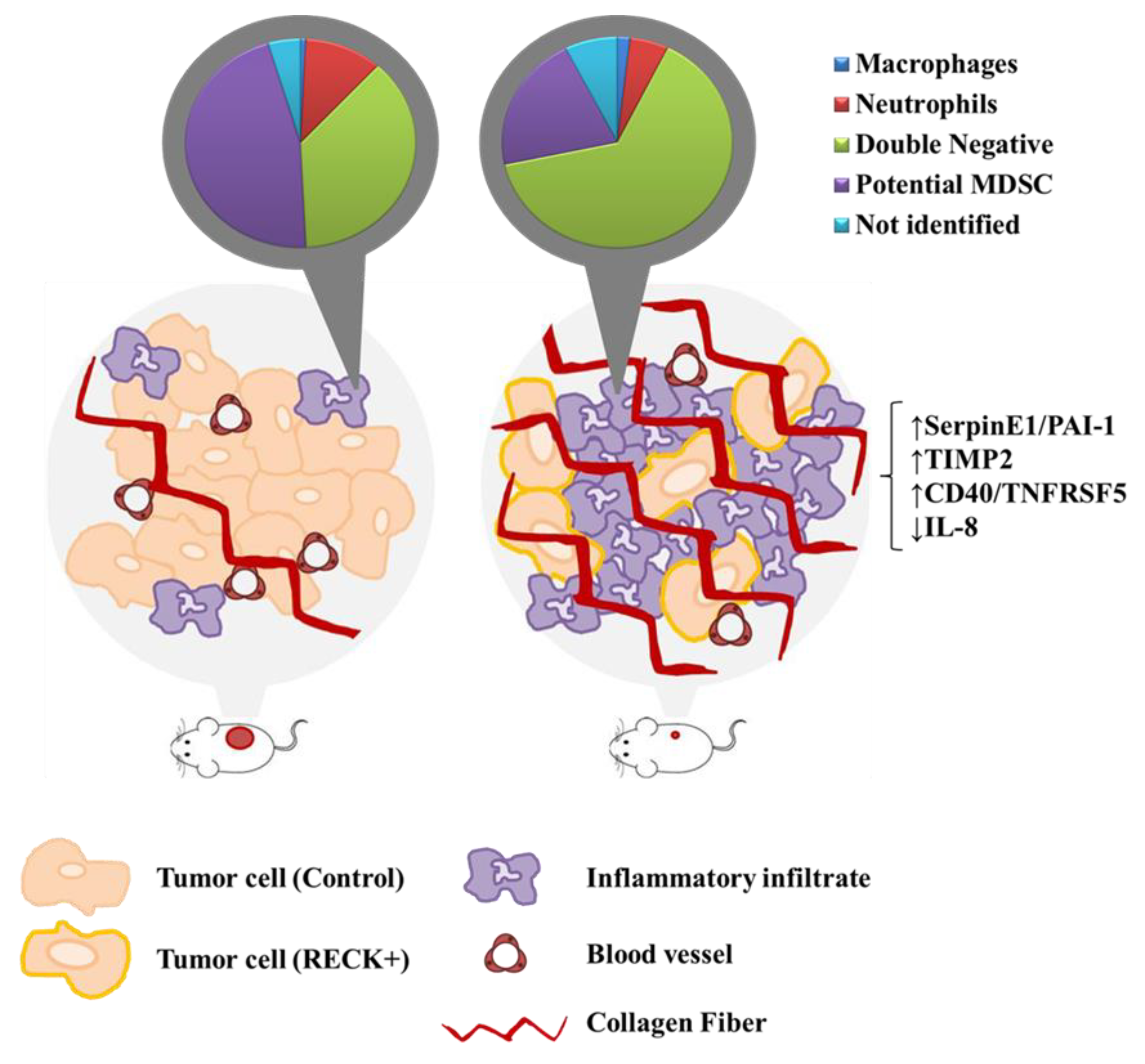 Cancers 13 02217 g008