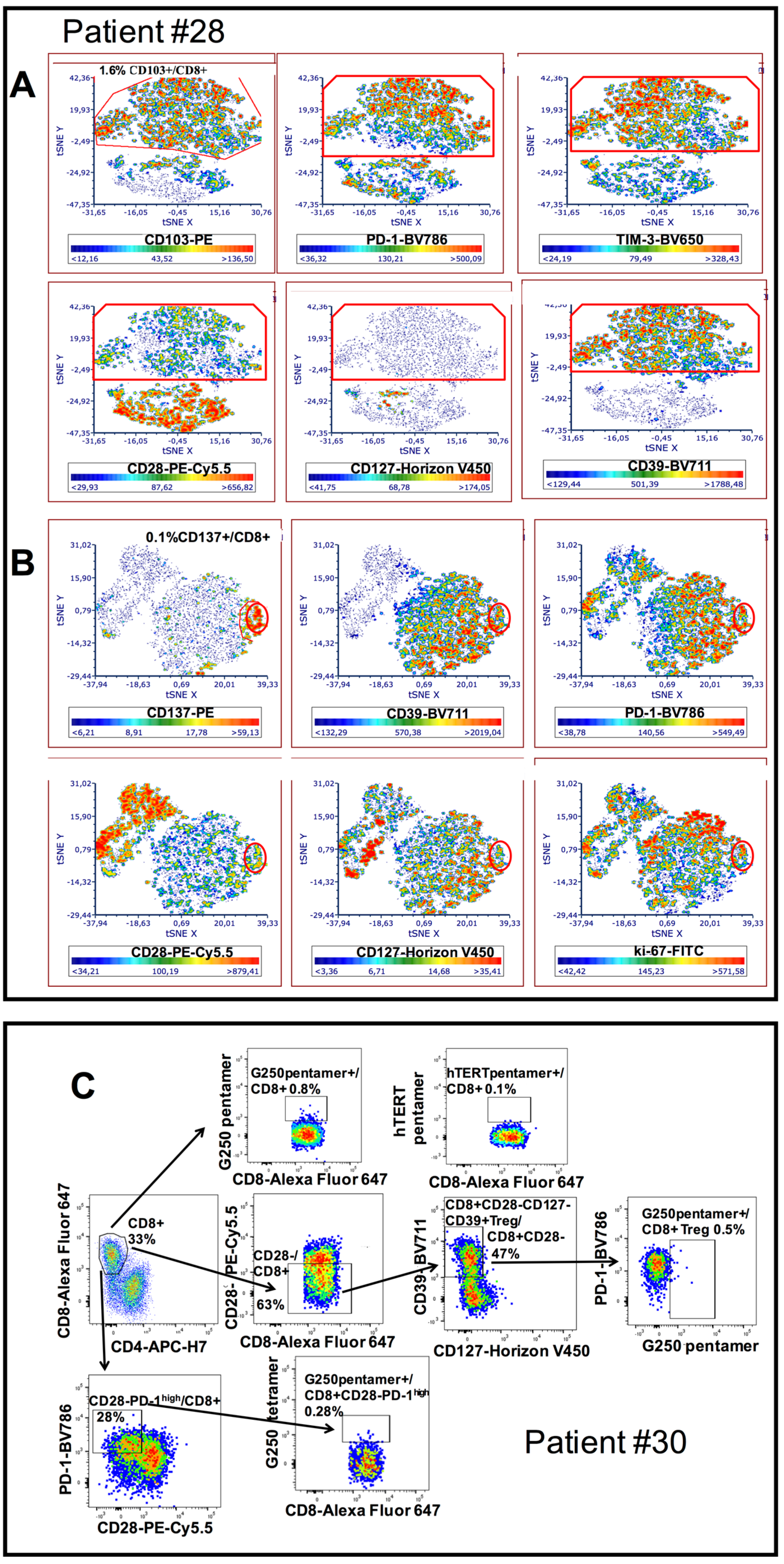 Cancers 13 02234 g005