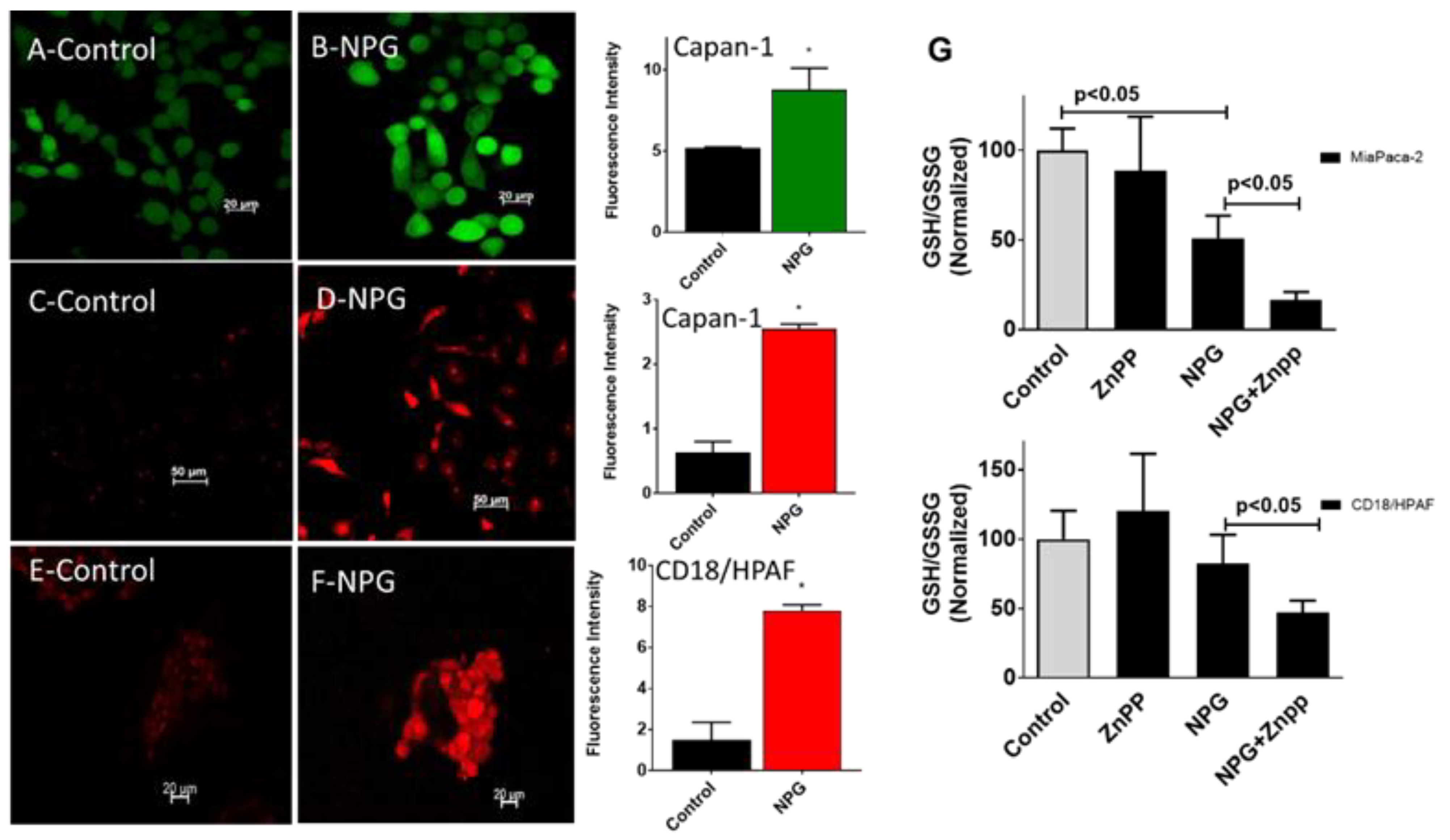 Cancers 13 02264 g005 Cancers 13 02264 g005