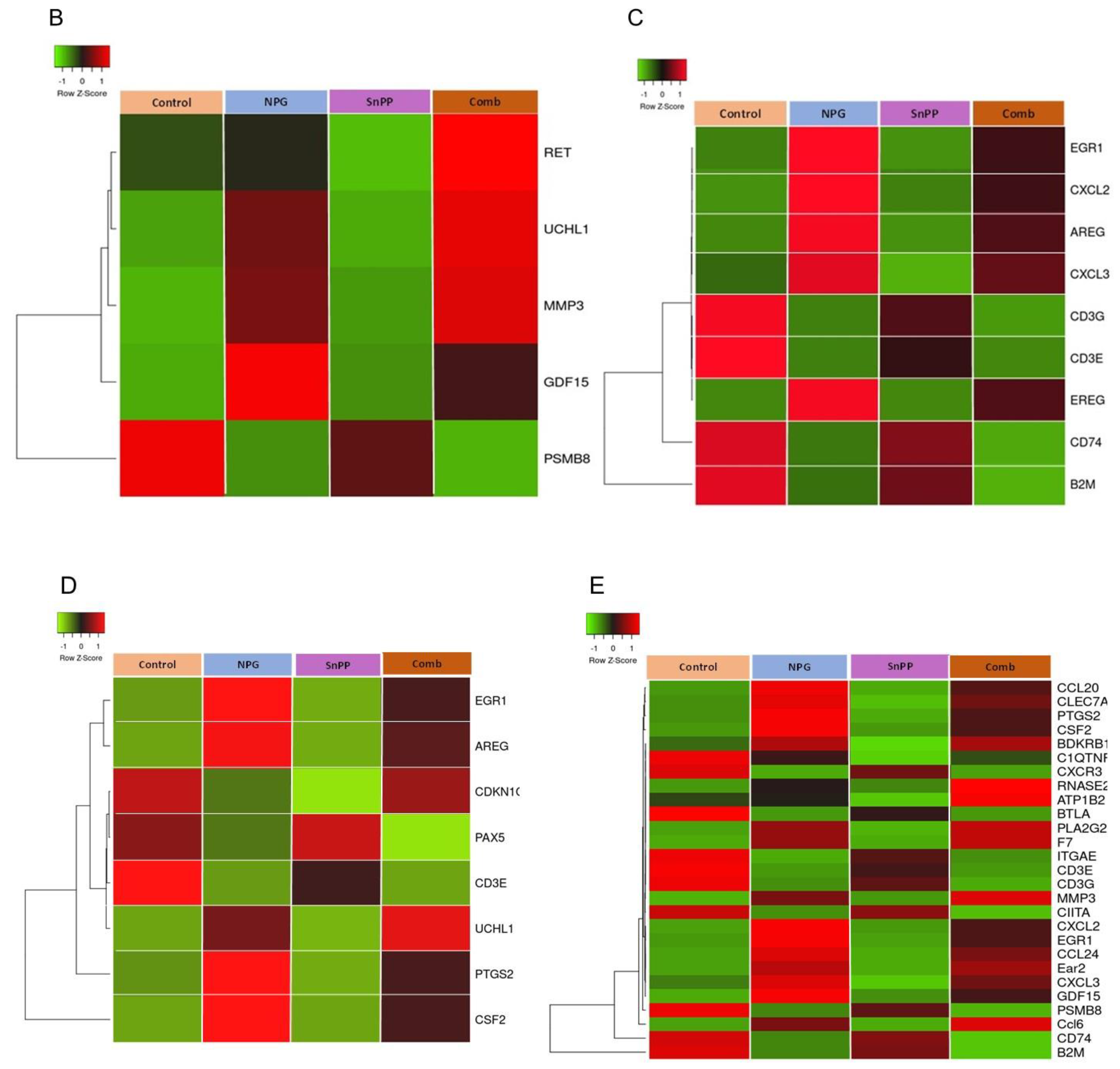 Cancers 13 02264 g008b Cancers 13 02264 g008b