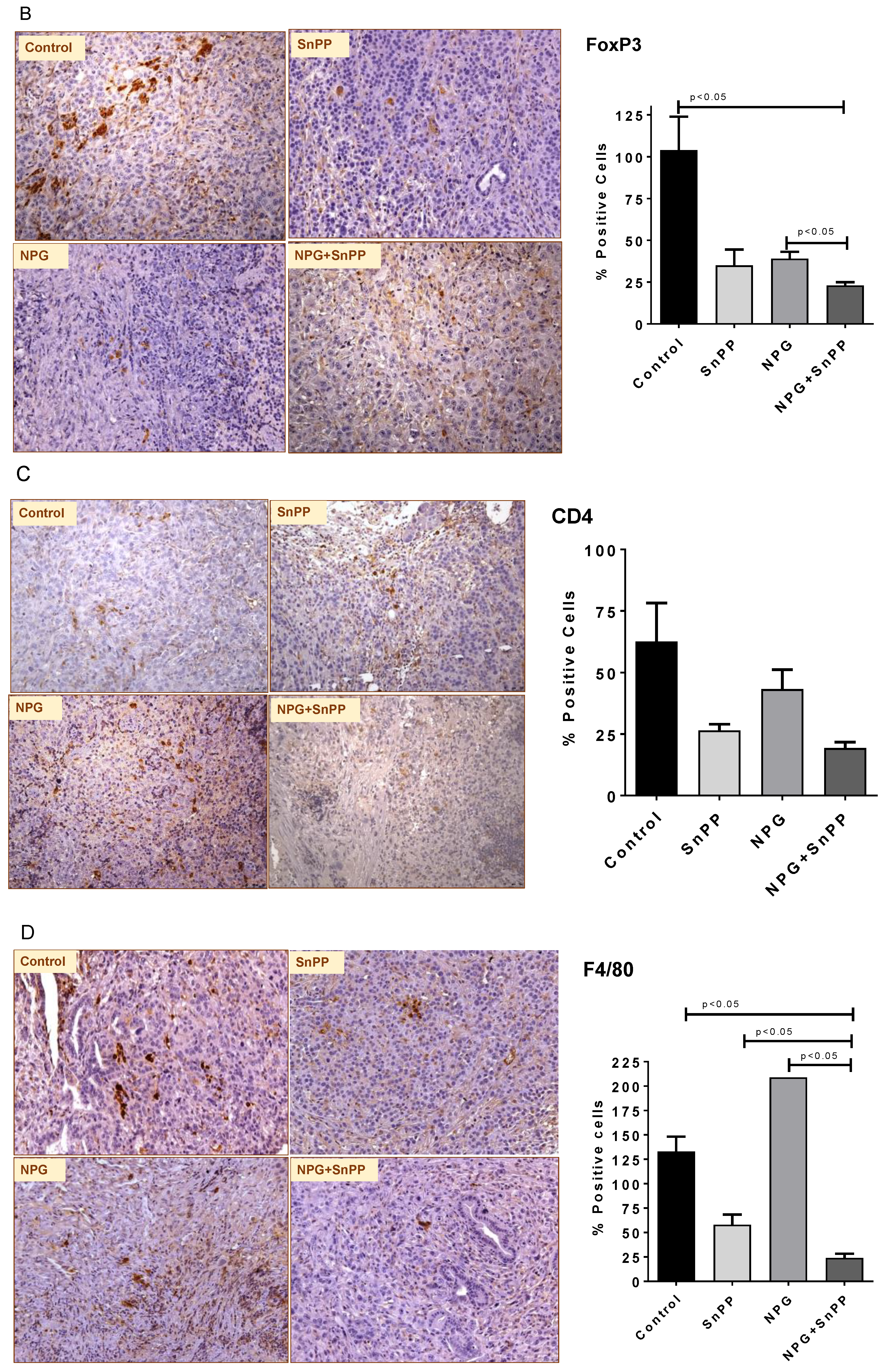 Cancers 13 02264 g009b Cancers 13 02264 g009b