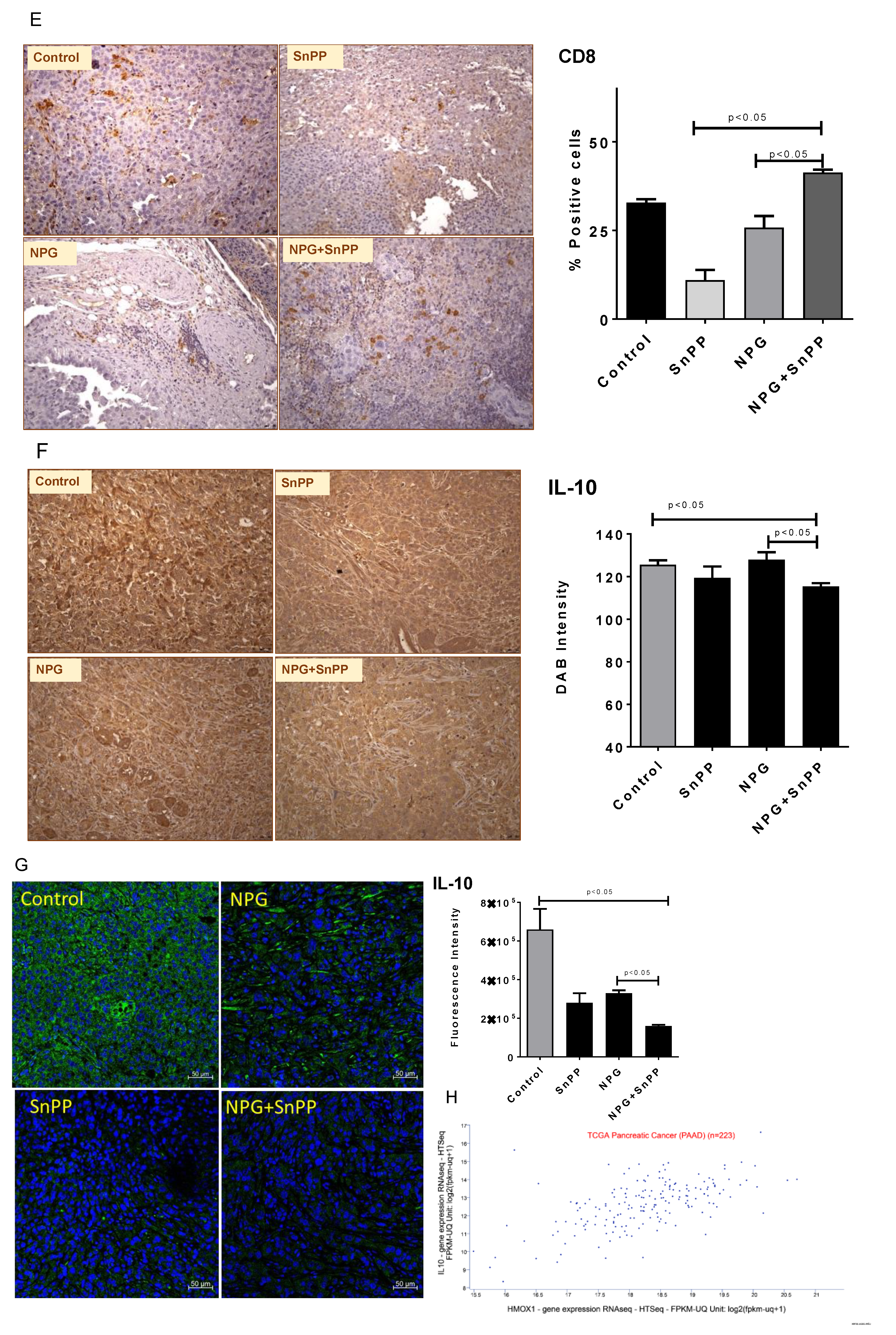 Cancers 13 02264 g009c Cancers 13 02264 g009c