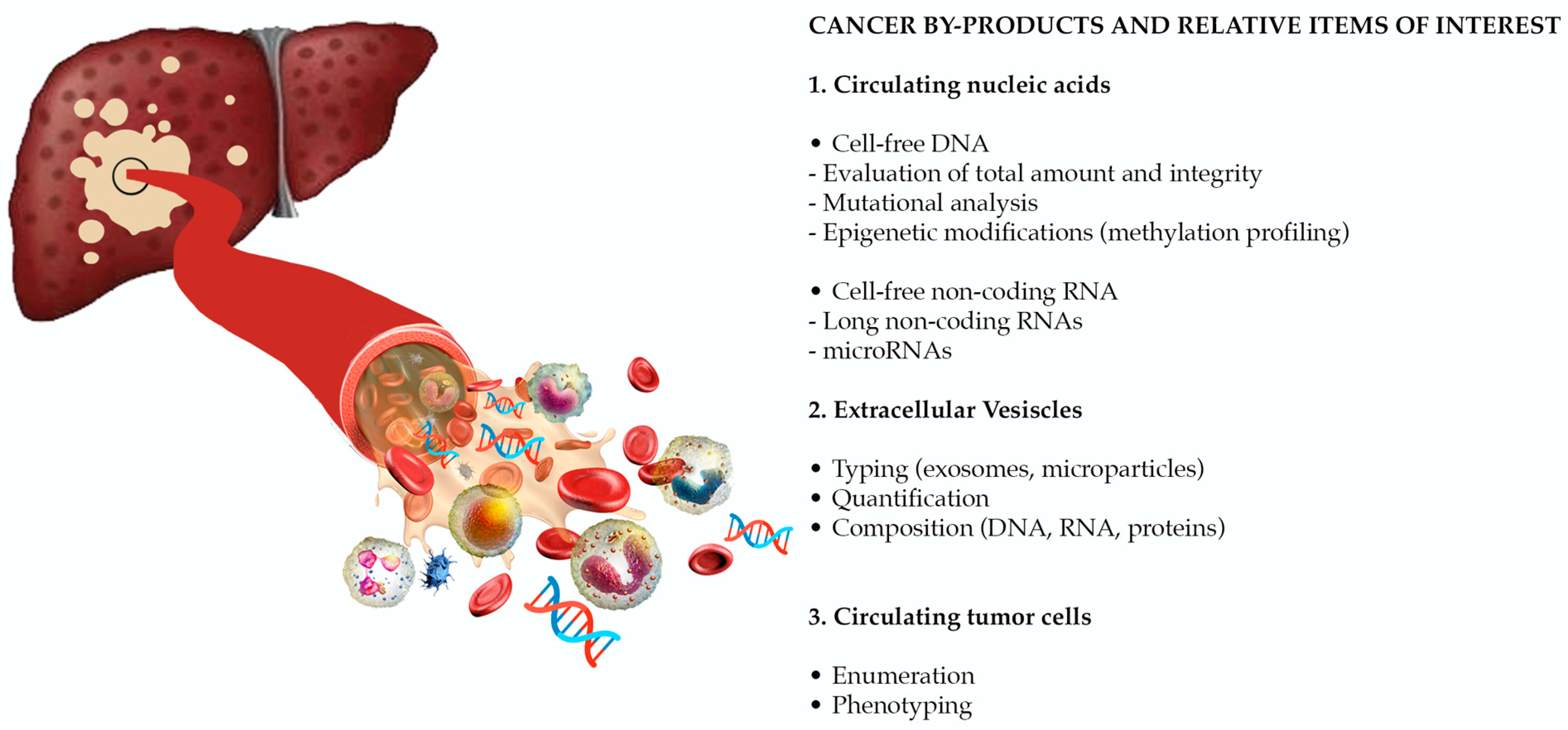Cancers | Free Full-Text | Liquid Biopsy in Hepatocellular Carcinoma: Where  Are We Now? | HTML