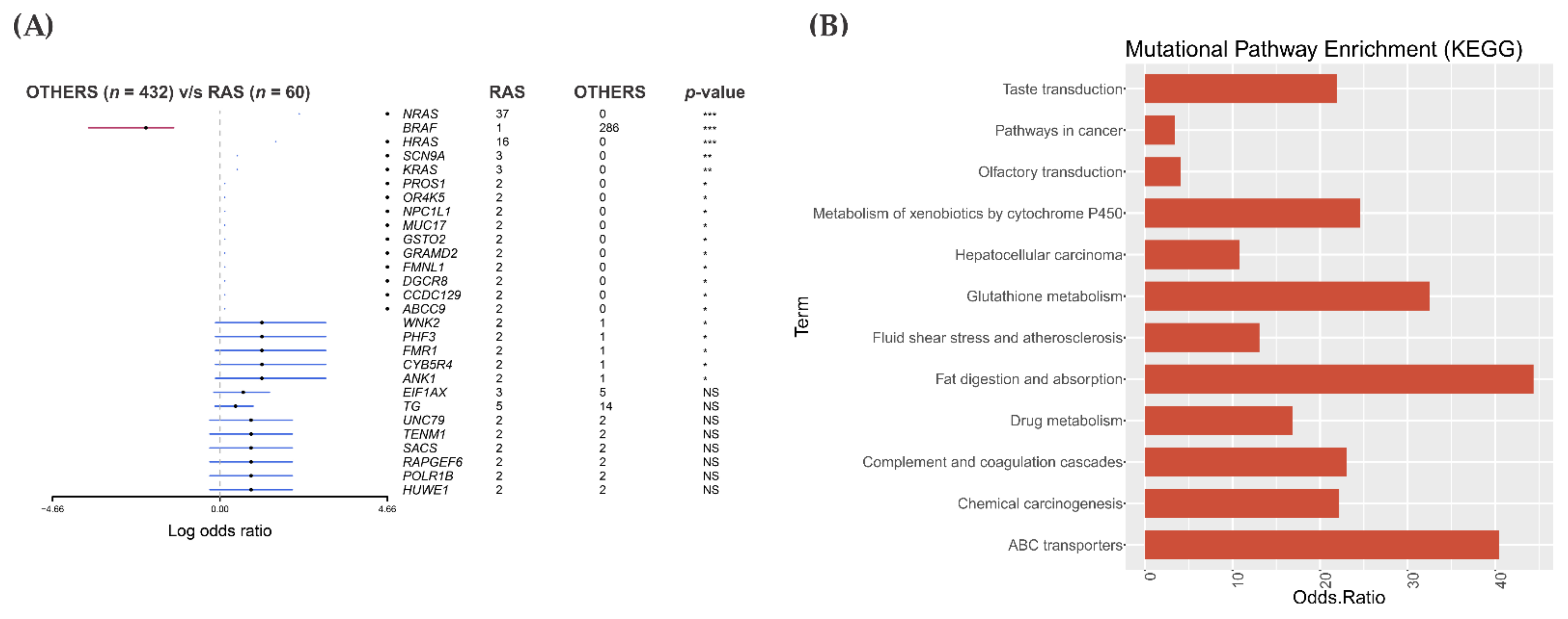 Cancers 13 02306 g004 Cancers 13 02306 g004