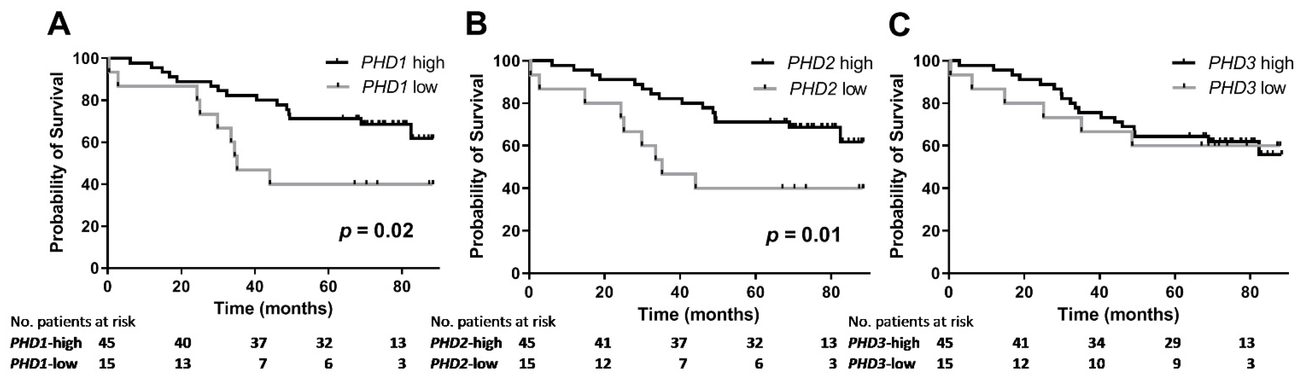 Cancers 13 02309 g003 Cancers 13 02309 g003