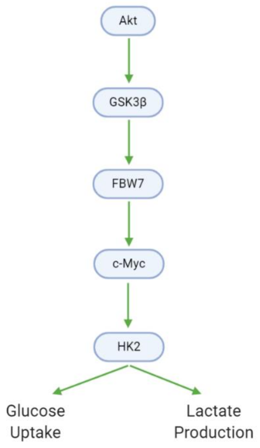 Cancers 13 02317 g009