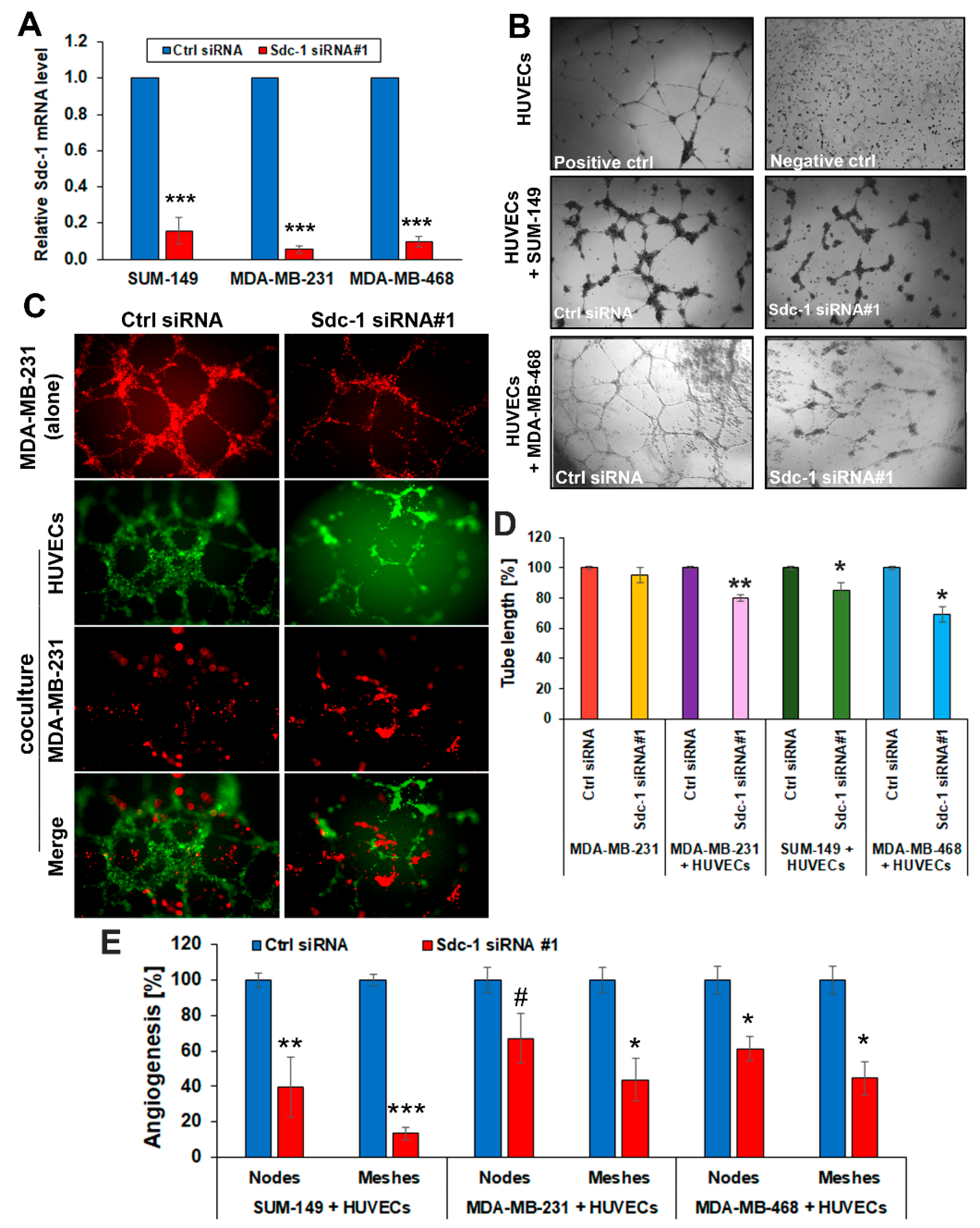Cancers 13 02318 g001 Cancers 13 02318 g001