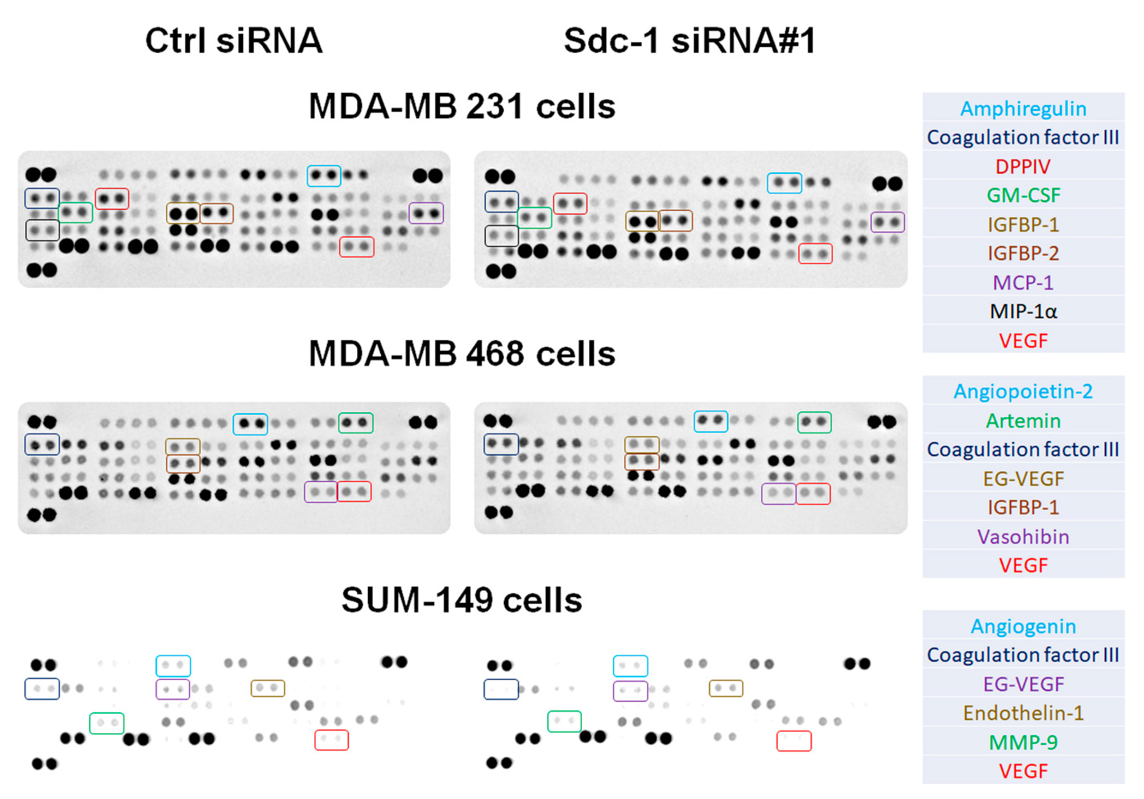 Cancers 13 02318 g002 Cancers 13 02318 g002