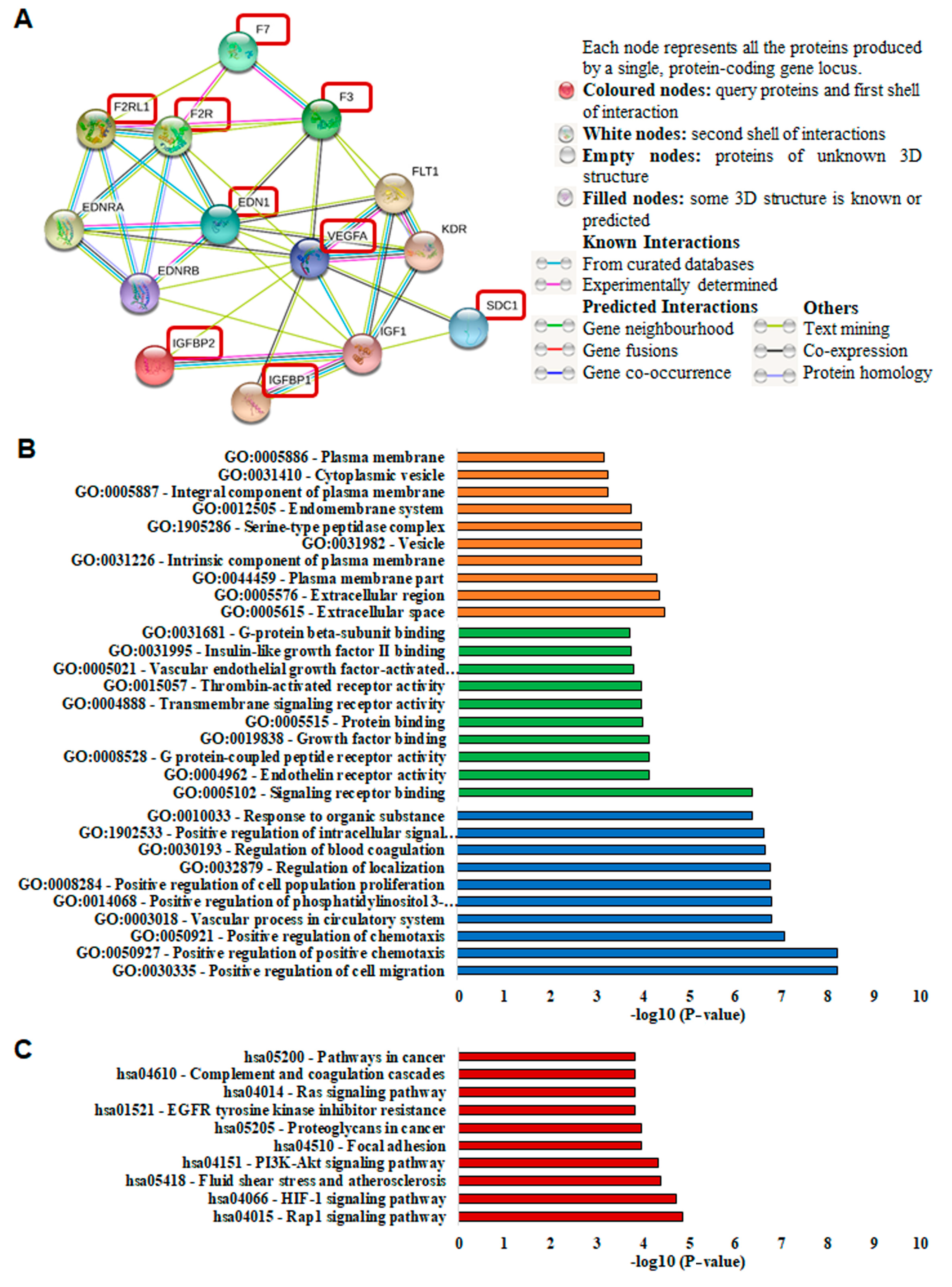 Cancers 13 02318 g006 Cancers 13 02318 g006