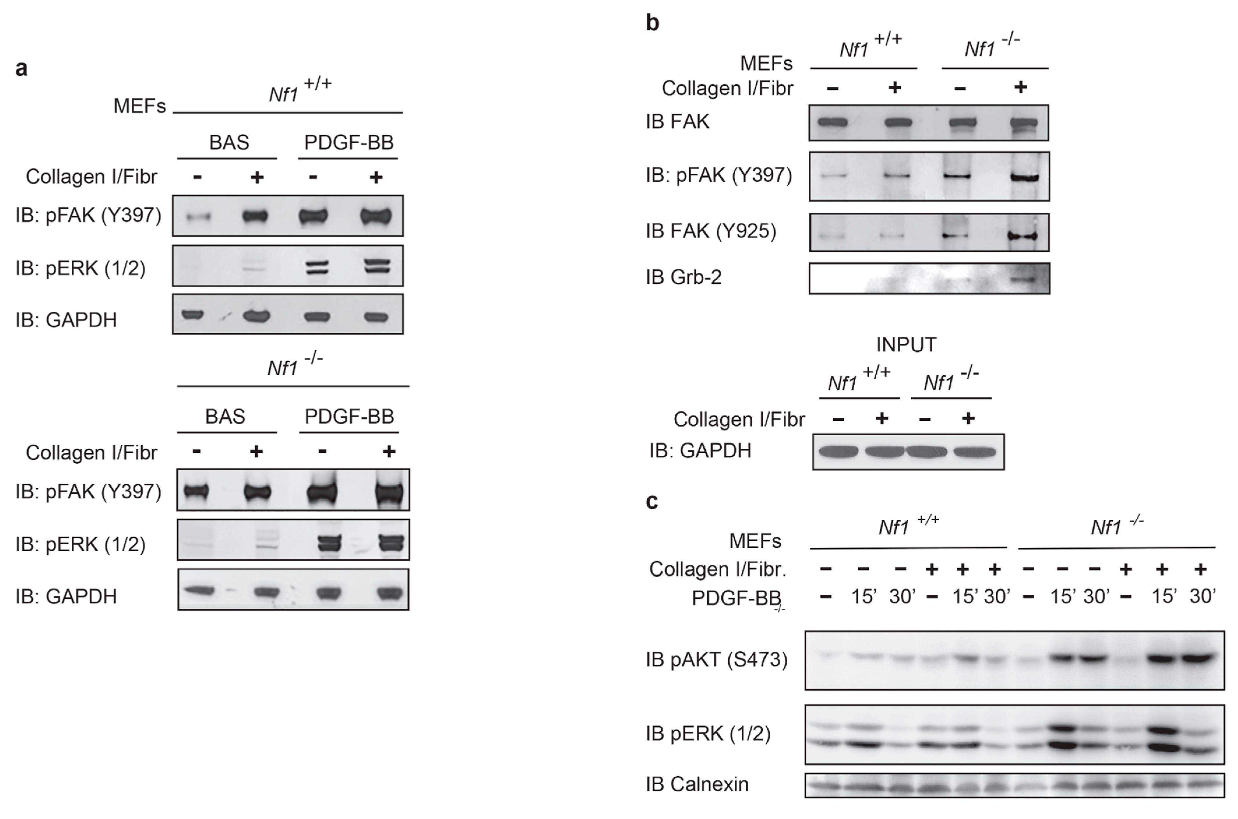 Cancers 13 02329 g002