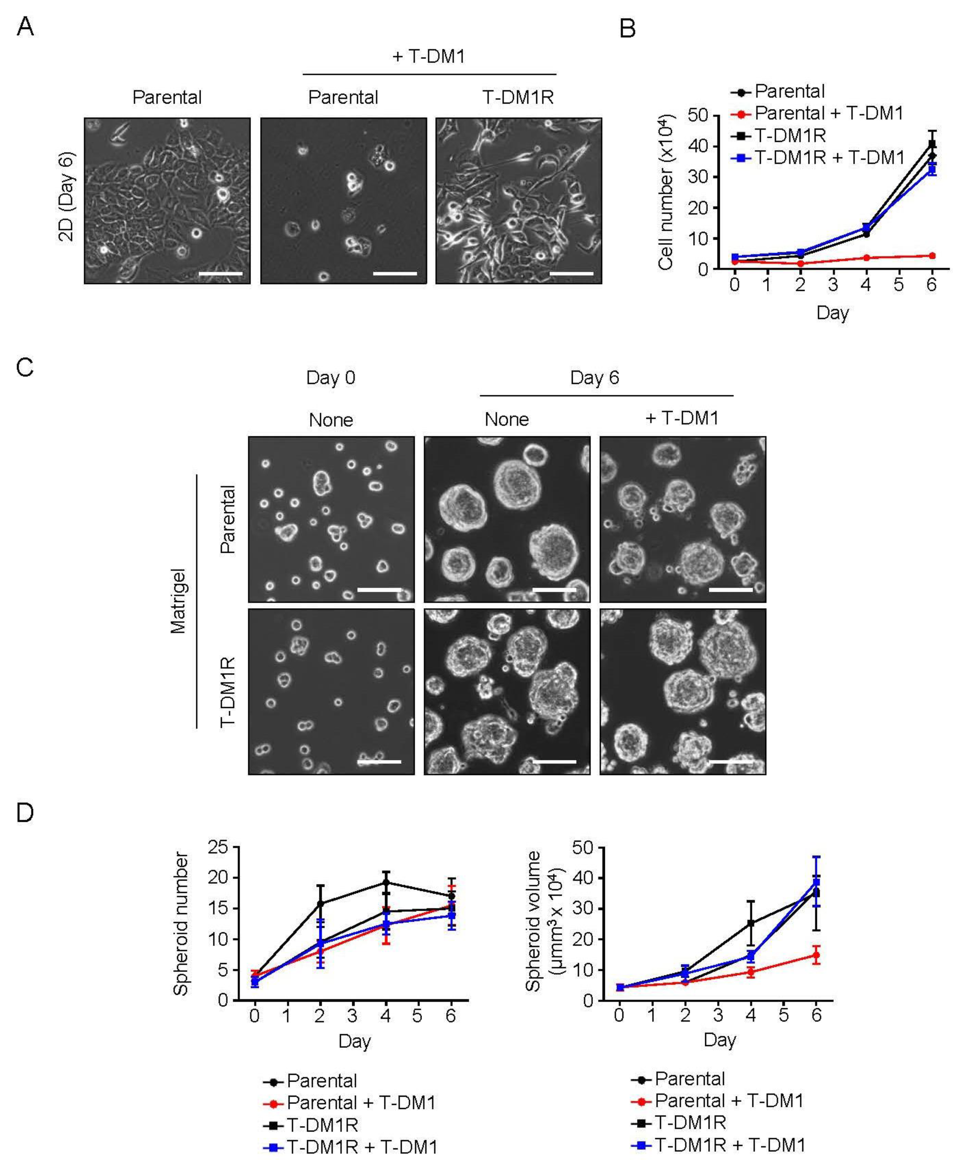 Cancers 13 02331 g001 Cancers 13 02331 g001