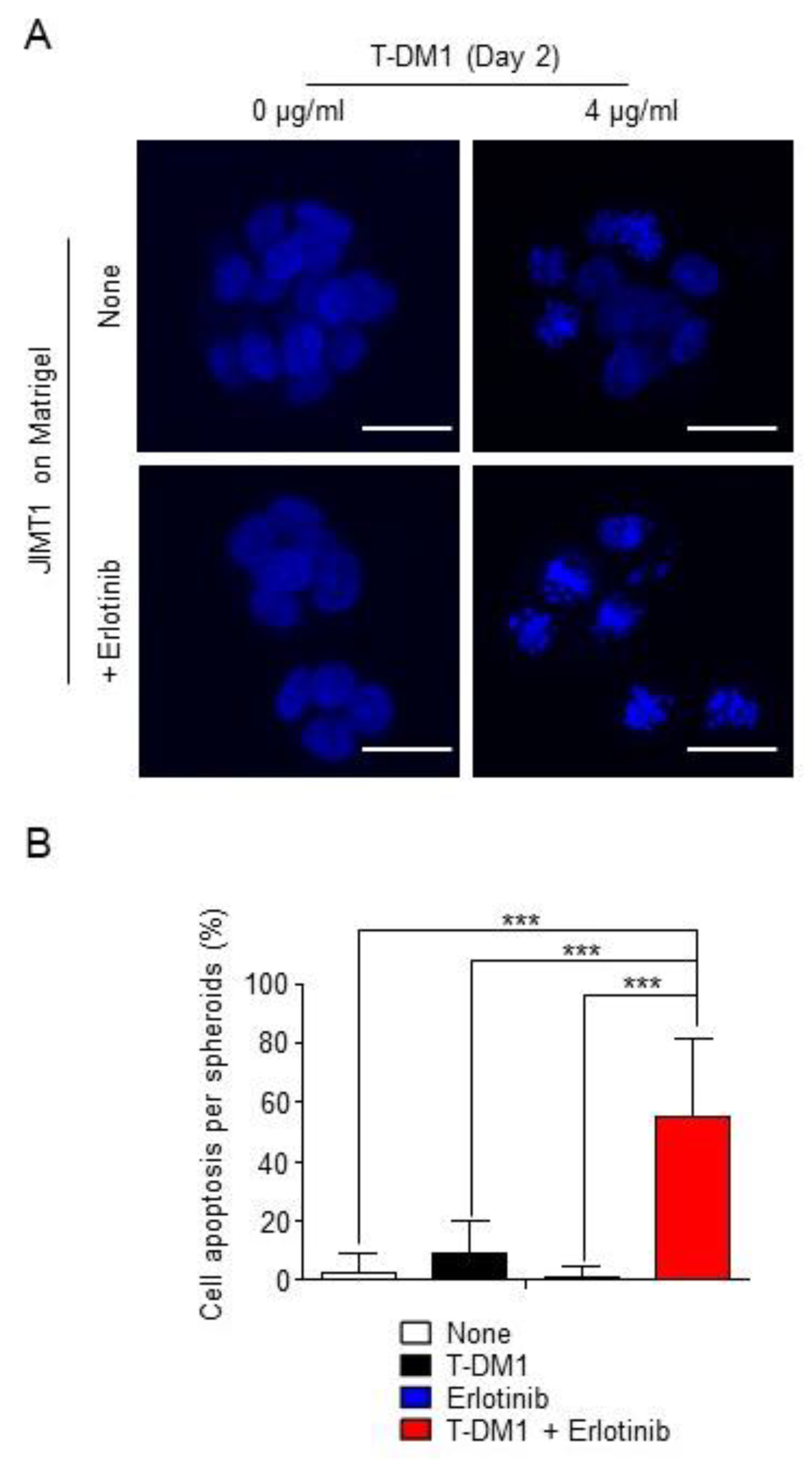 Cancers 13 02331 g004 Cancers 13 02331 g004