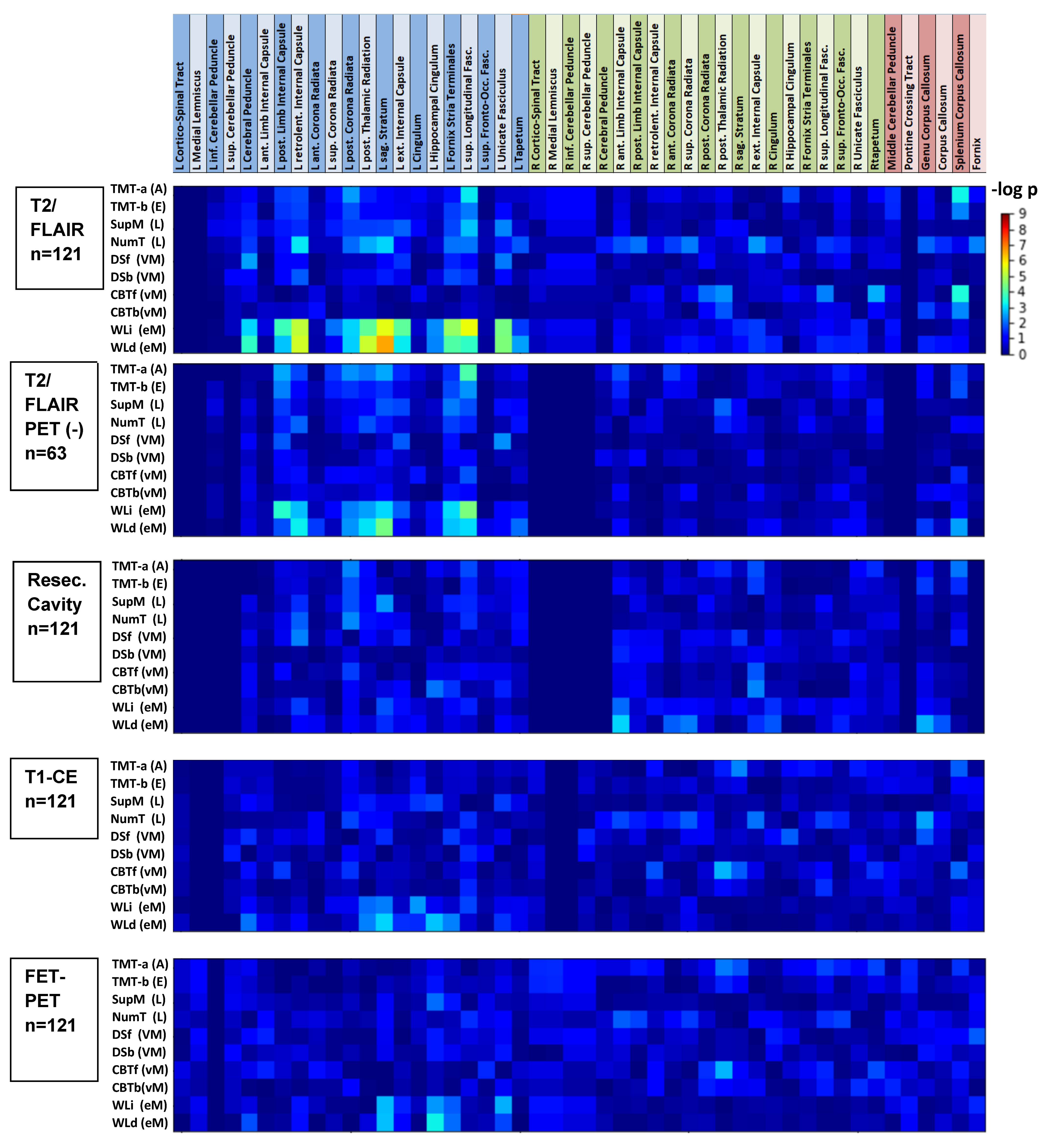 Cancers 13 02373 g004 Cancers 13 02373 g004