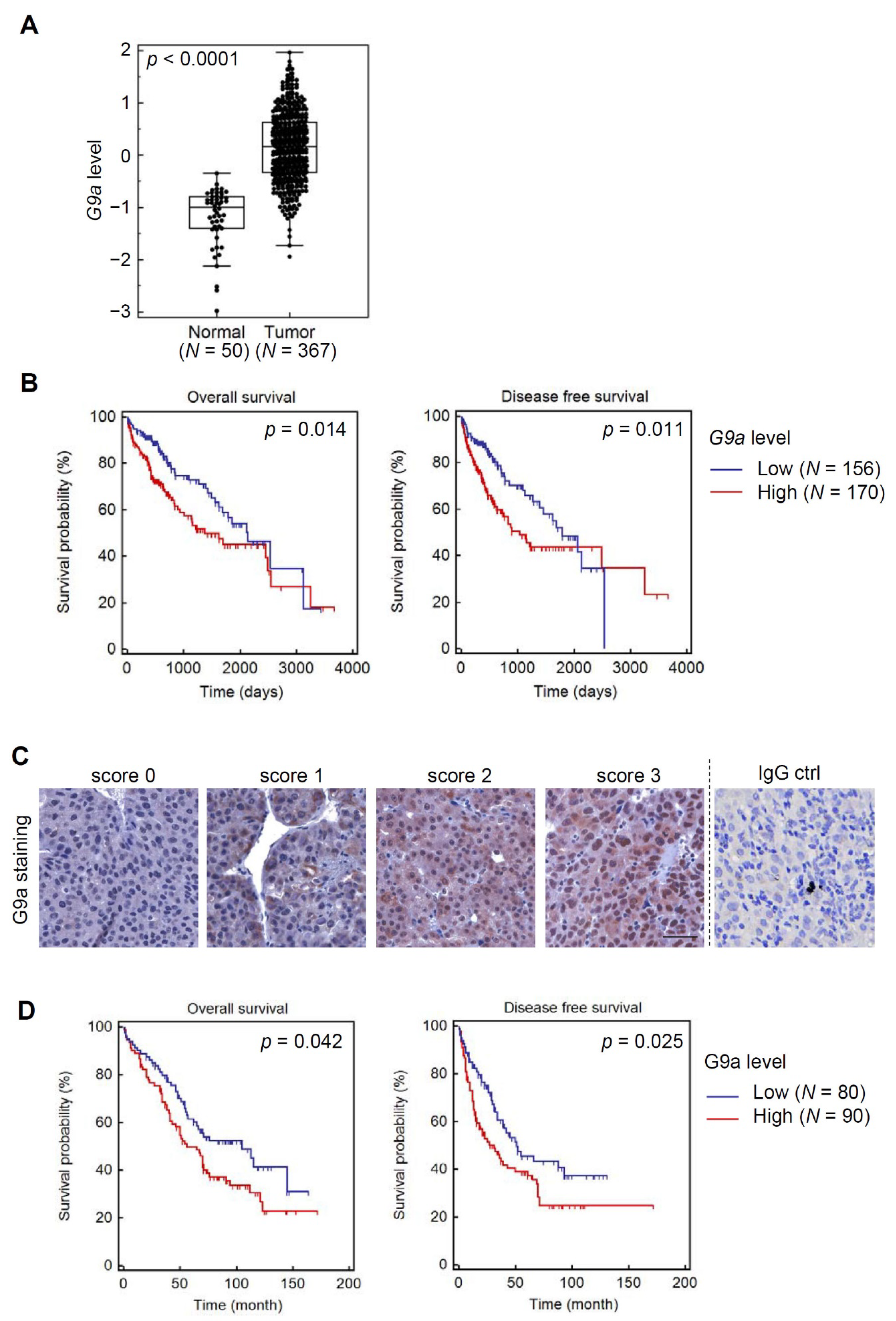 Cancers 13 02376 g001