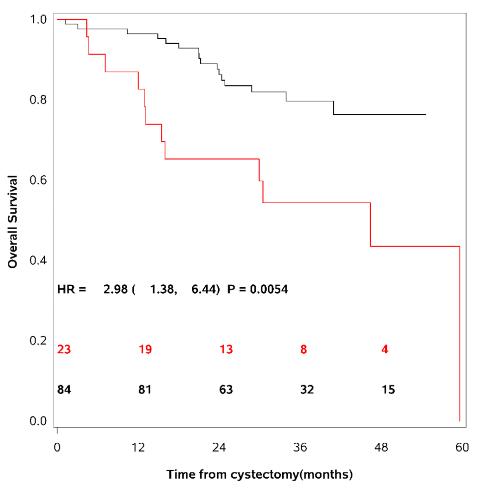 Cancers 13 02377 g002 Cancers 13 02377 g002