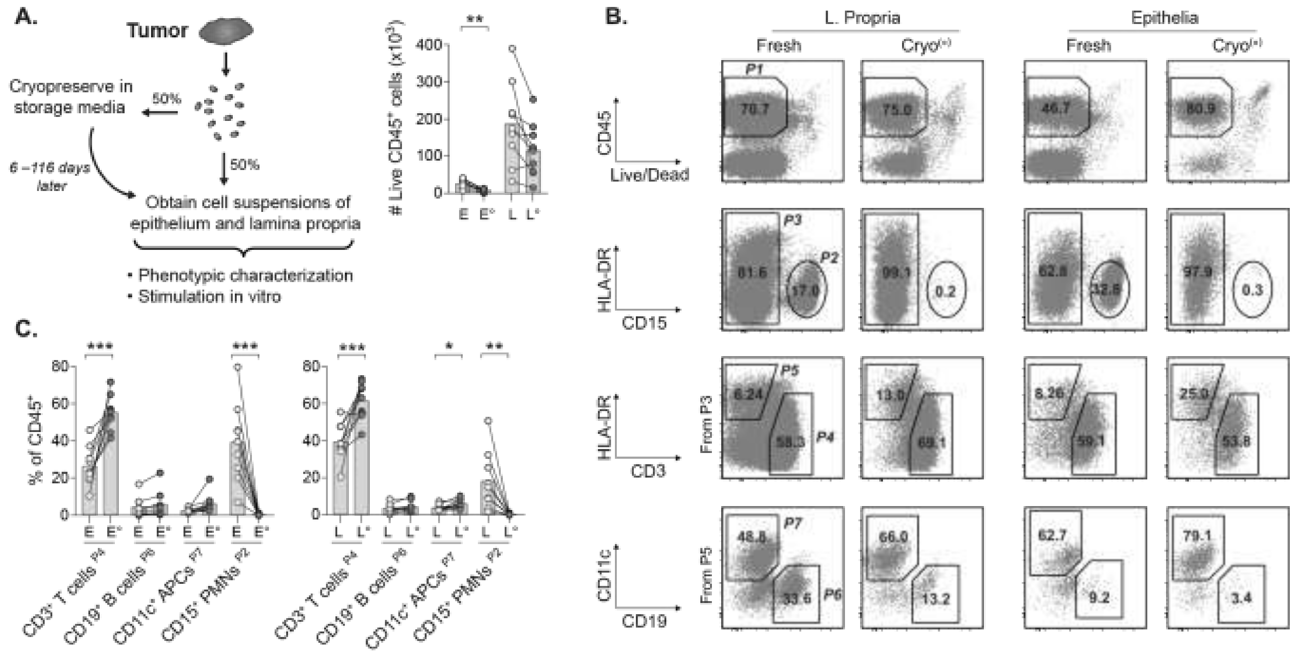 Cancers 13 02428 g001 Cancers 13 02428 g001