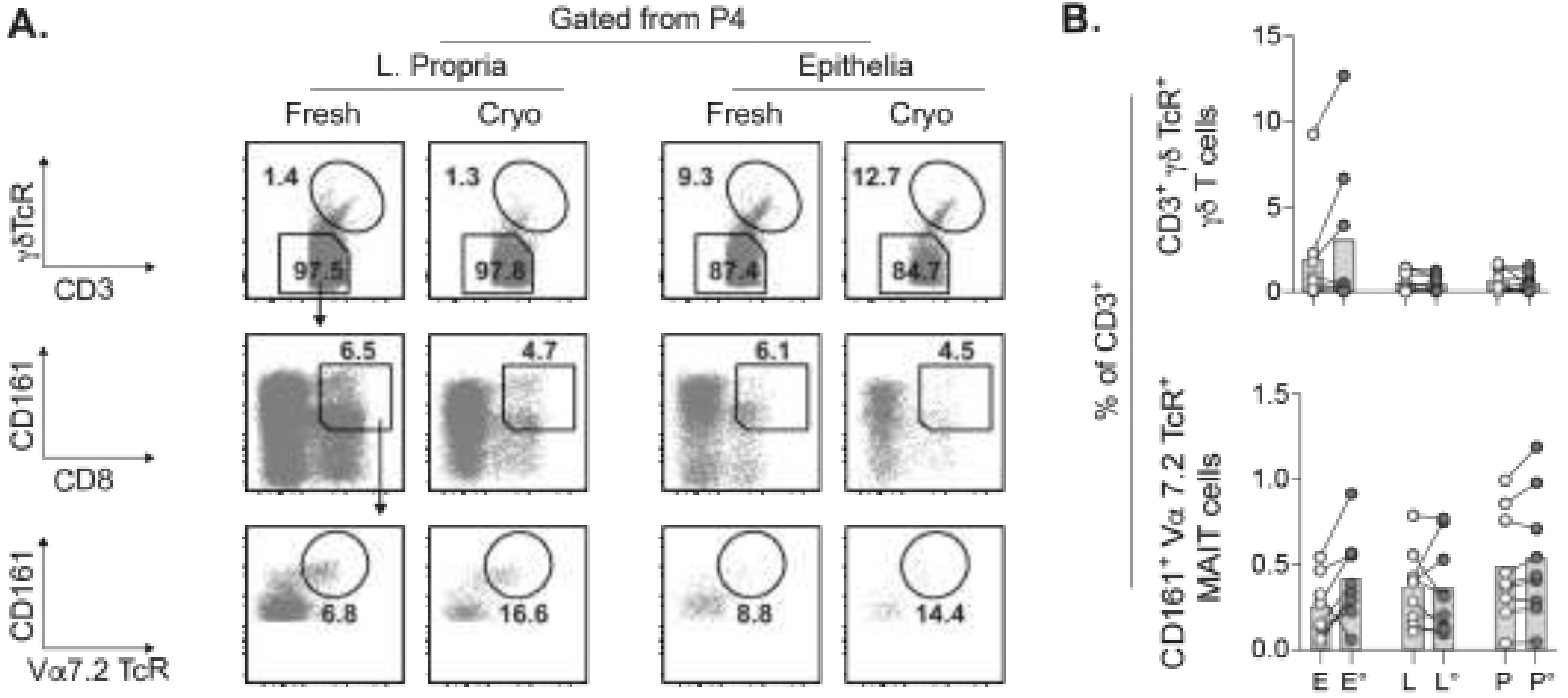 Cancers 13 02428 g003 Cancers 13 02428 g003