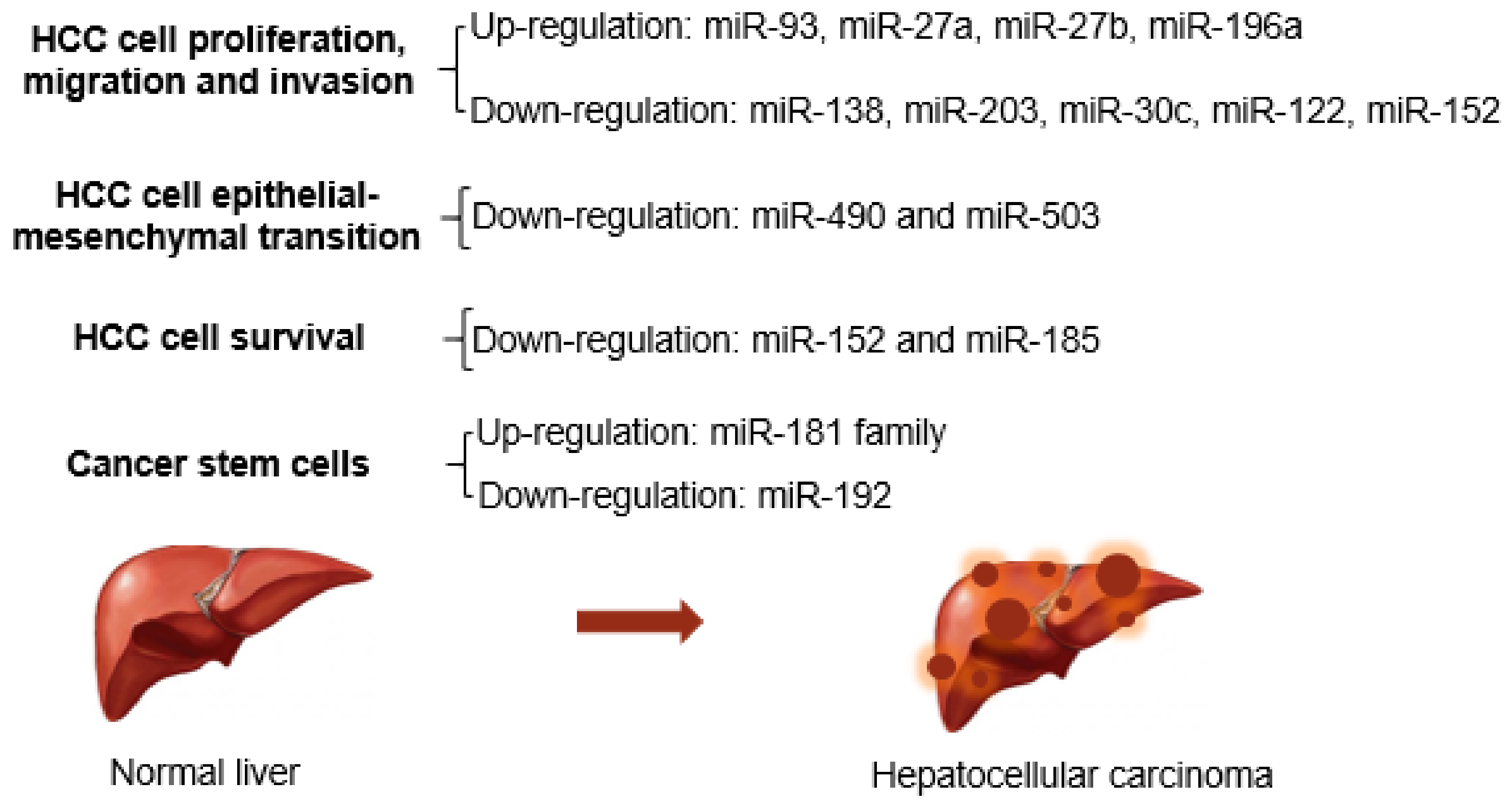 Cancers | Free Full-Text | HCV Proteins Modulate the Host Cell miRNA  Expression Contributing to Hepatitis C Pathogenesis and Hepatocellular  Carcinoma Development | HTML