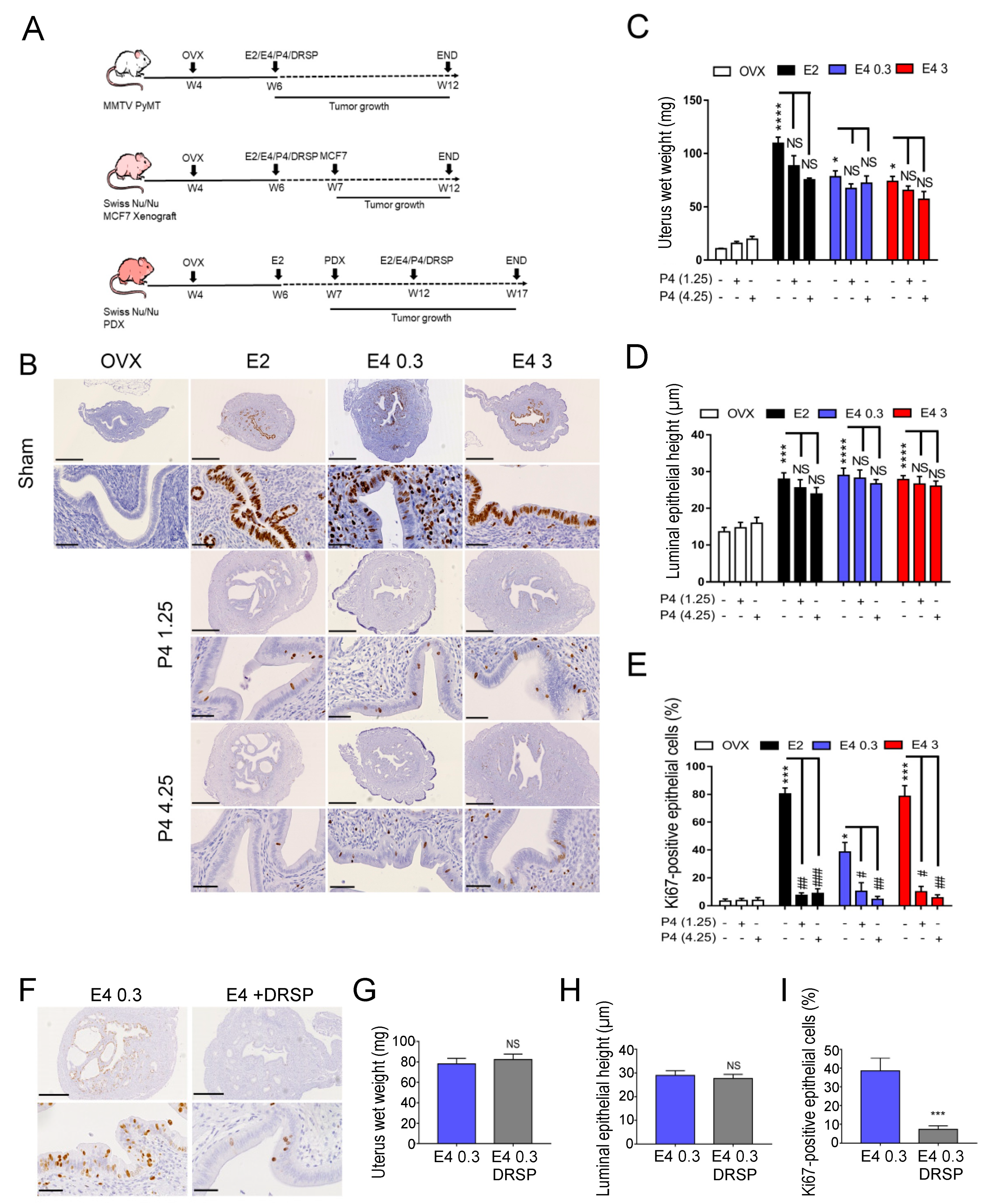 Cancers 13 02486 g001 Cancers 13 02486 g001