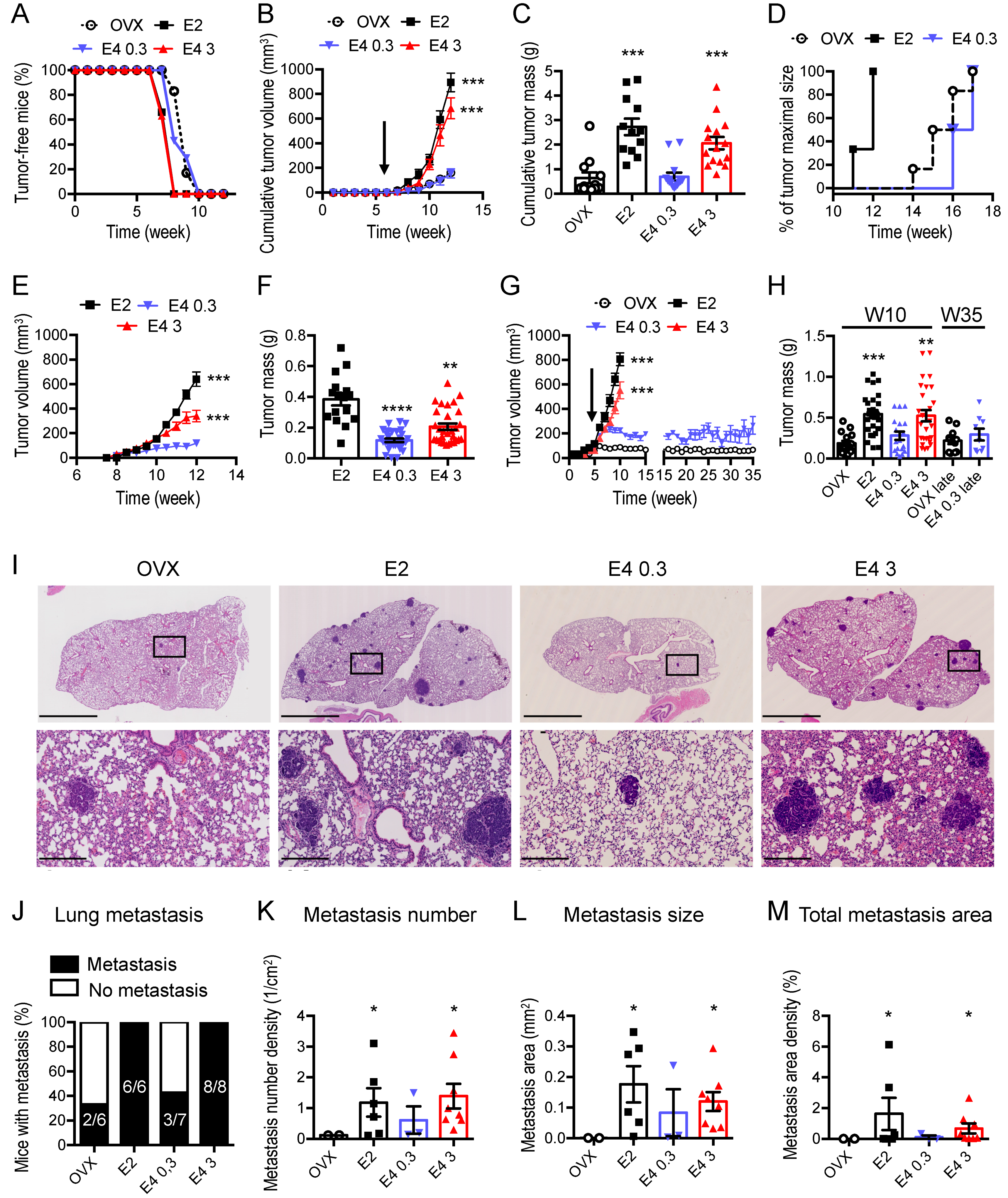 Cancers 13 02486 g002 Cancers 13 02486 g002