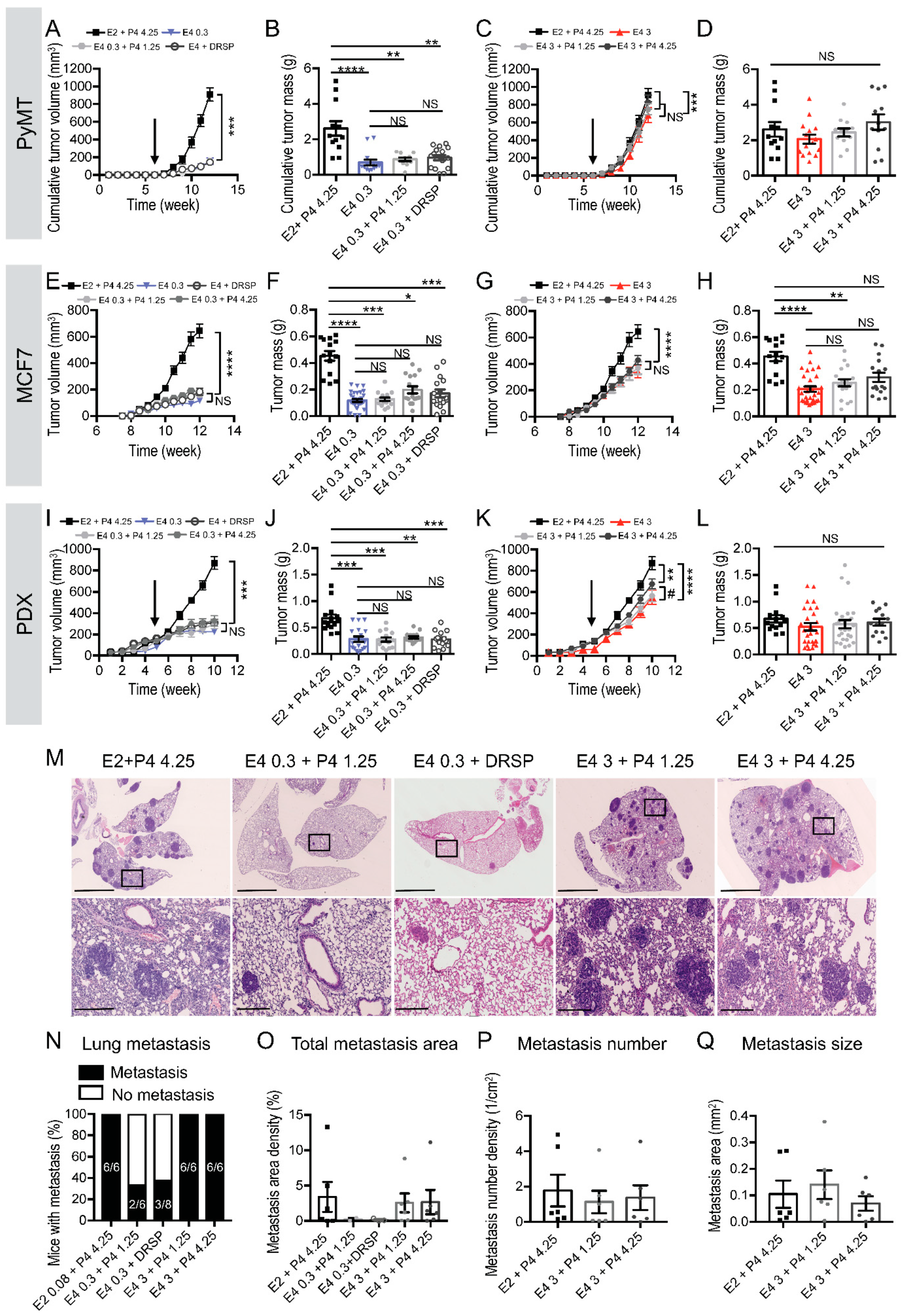 Cancers 13 02486 g003 Cancers 13 02486 g003