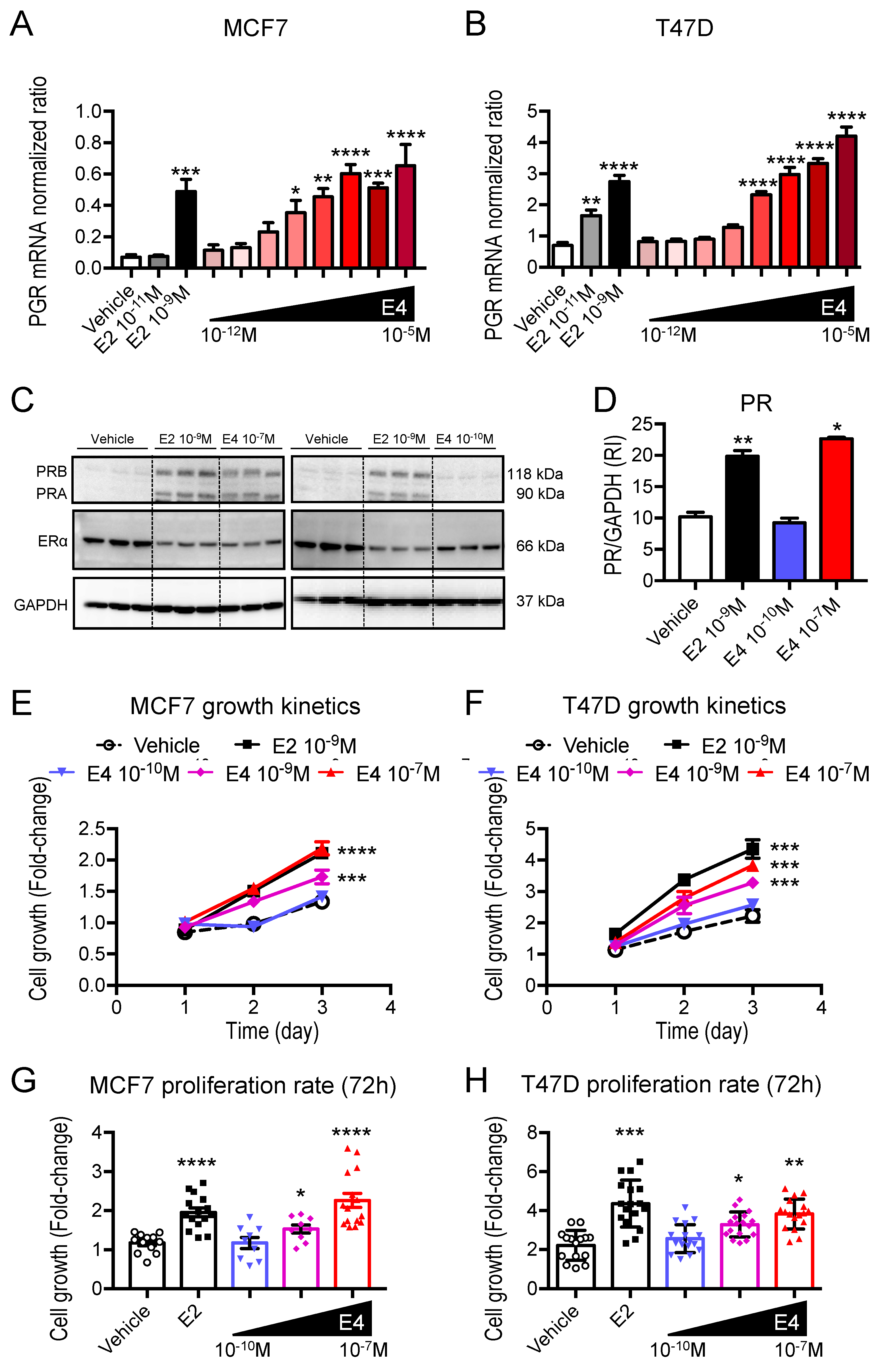 Cancers 13 02486 g004 Cancers 13 02486 g004