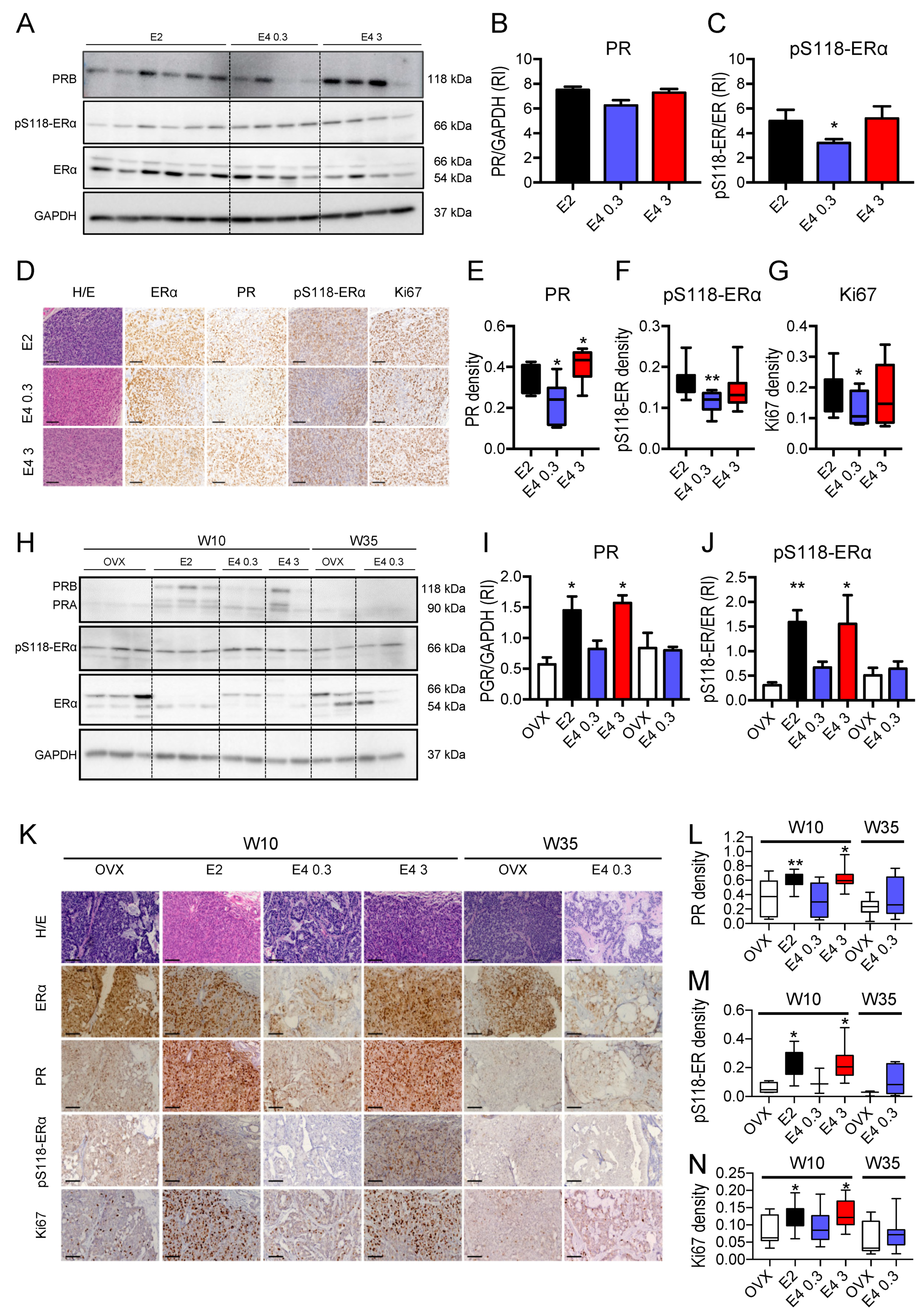 Cancers 13 02486 g005 Cancers 13 02486 g005