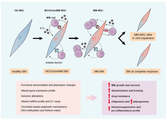 Full article: Epigenetic treatment of multiple myeloma mediates tumor  intrinsic and extrinsic immunomodulatory effects