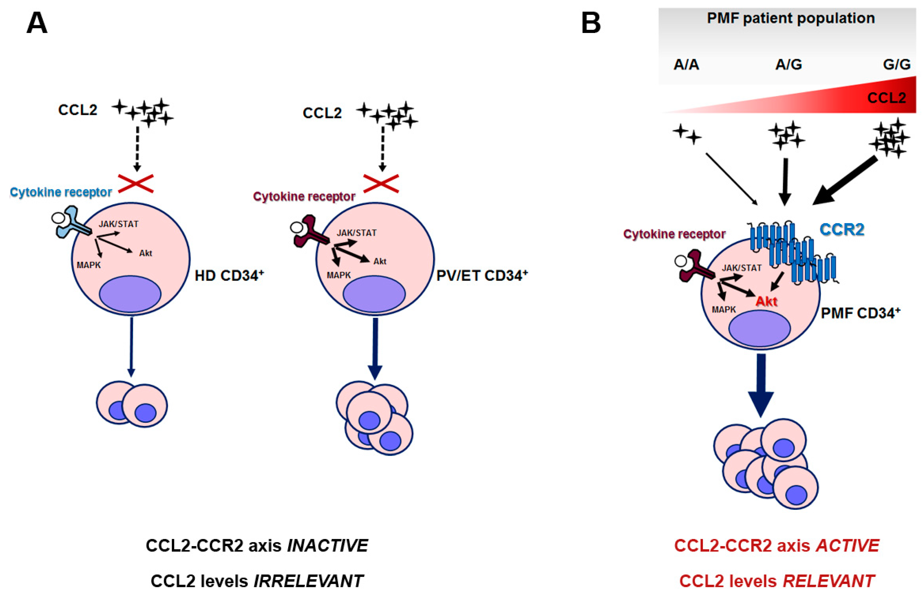 Cancers 13 02552 g006