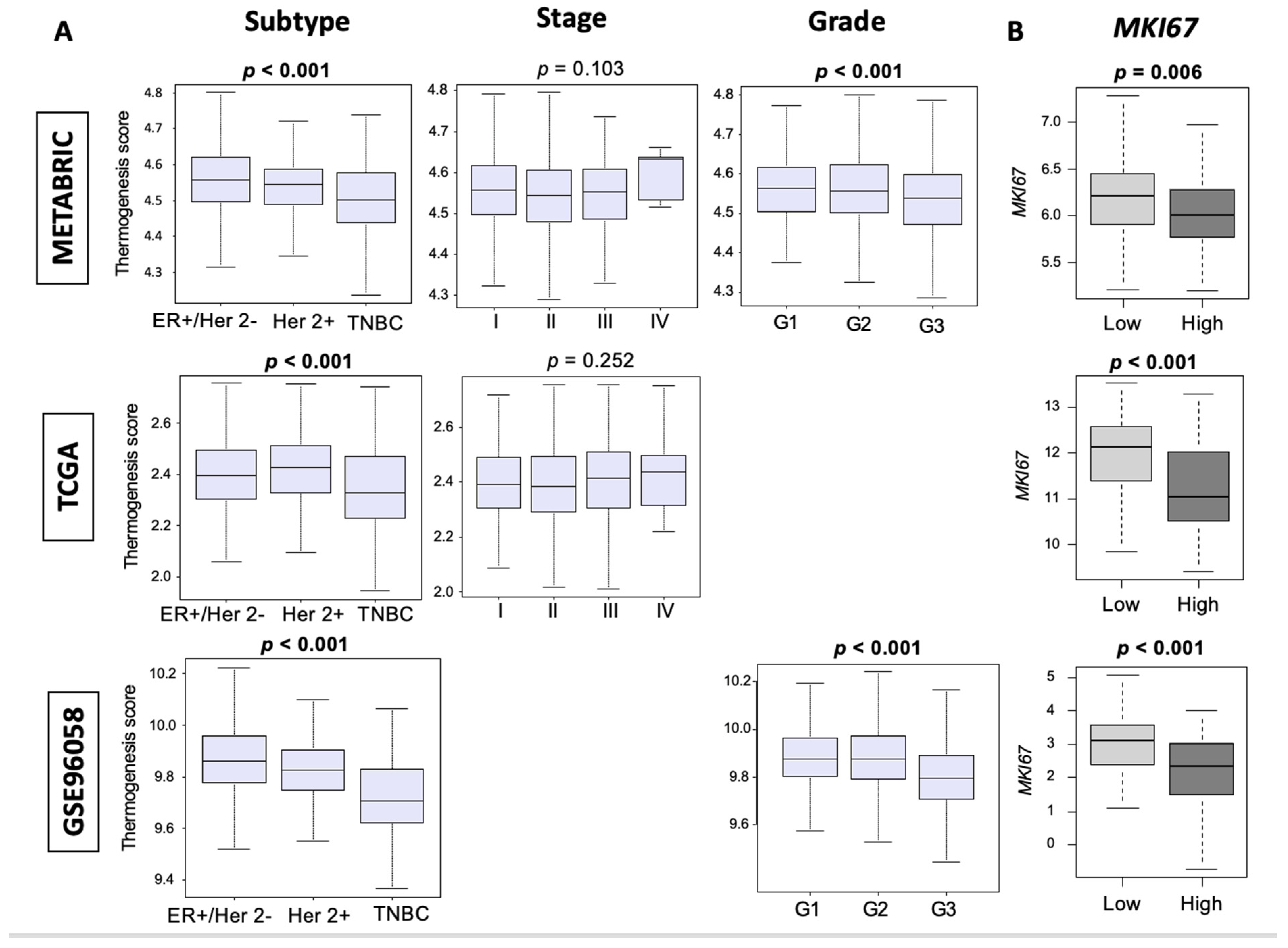 Cancers 13 02559 g002